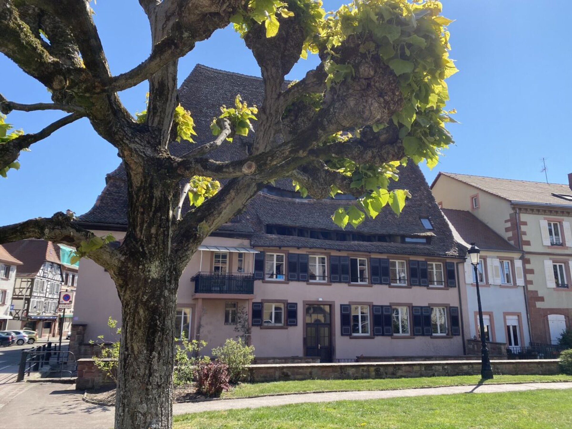 Ruime villa voor 14 personen in Wissembourg, op 500m van het centrum - foto 32