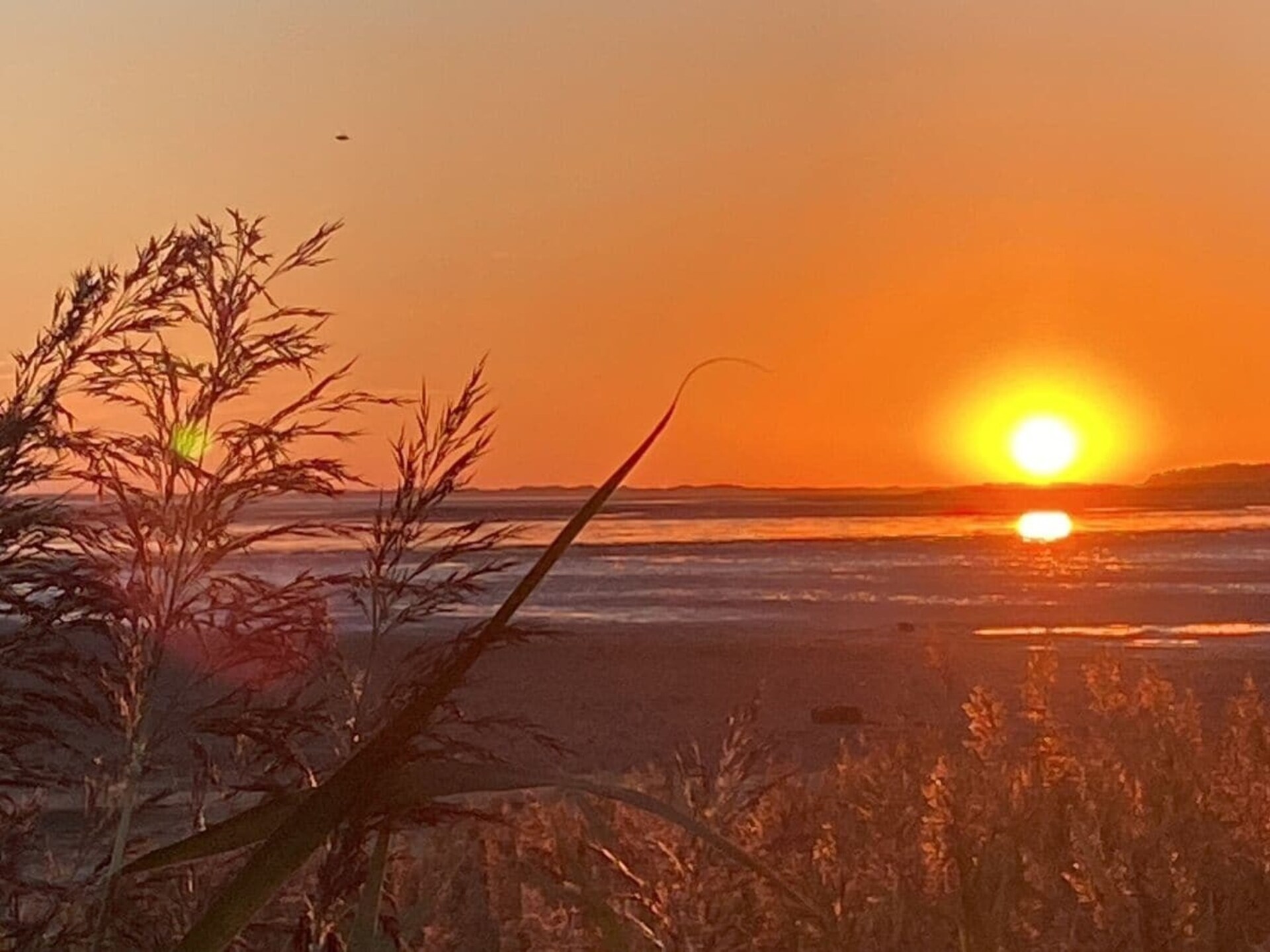 Knus vakantiehuis voor 5 personen nabij het strand van Wyk op Föhr - foto 18