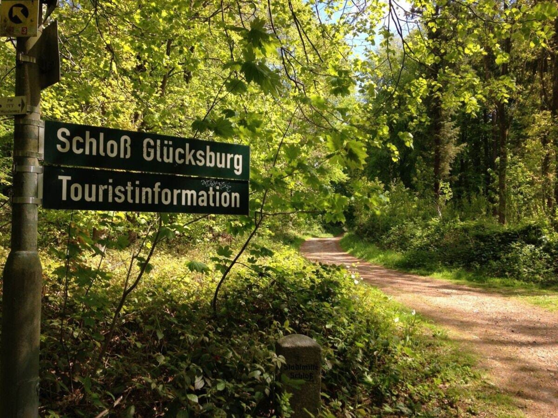 295952 - foto 21