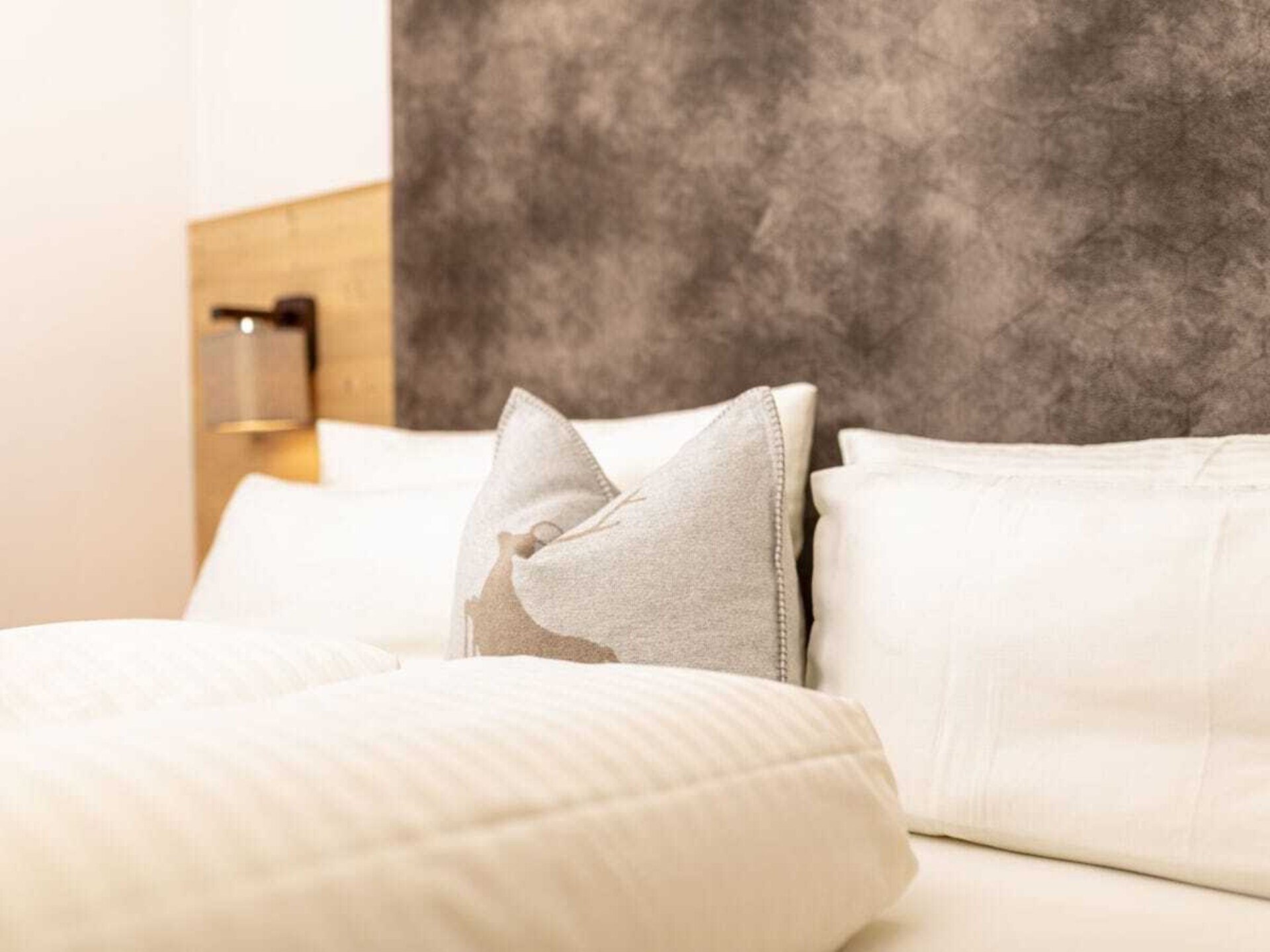 Knus vakantiehuis in Ramsau met uitzicht op de Zillertal Arena - foto 3