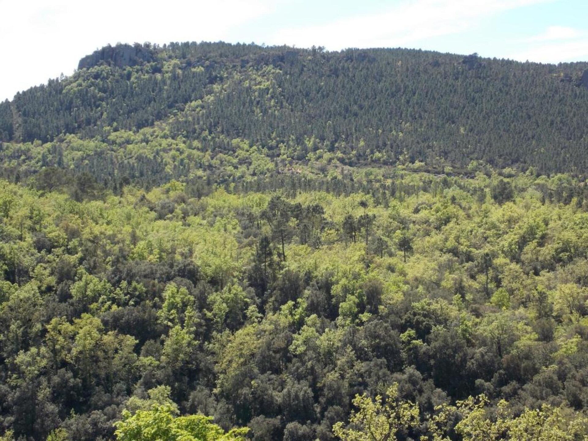 Dorpshuis met privézwembad en valleizicht in Bagnols-en-Forêt - foto 35