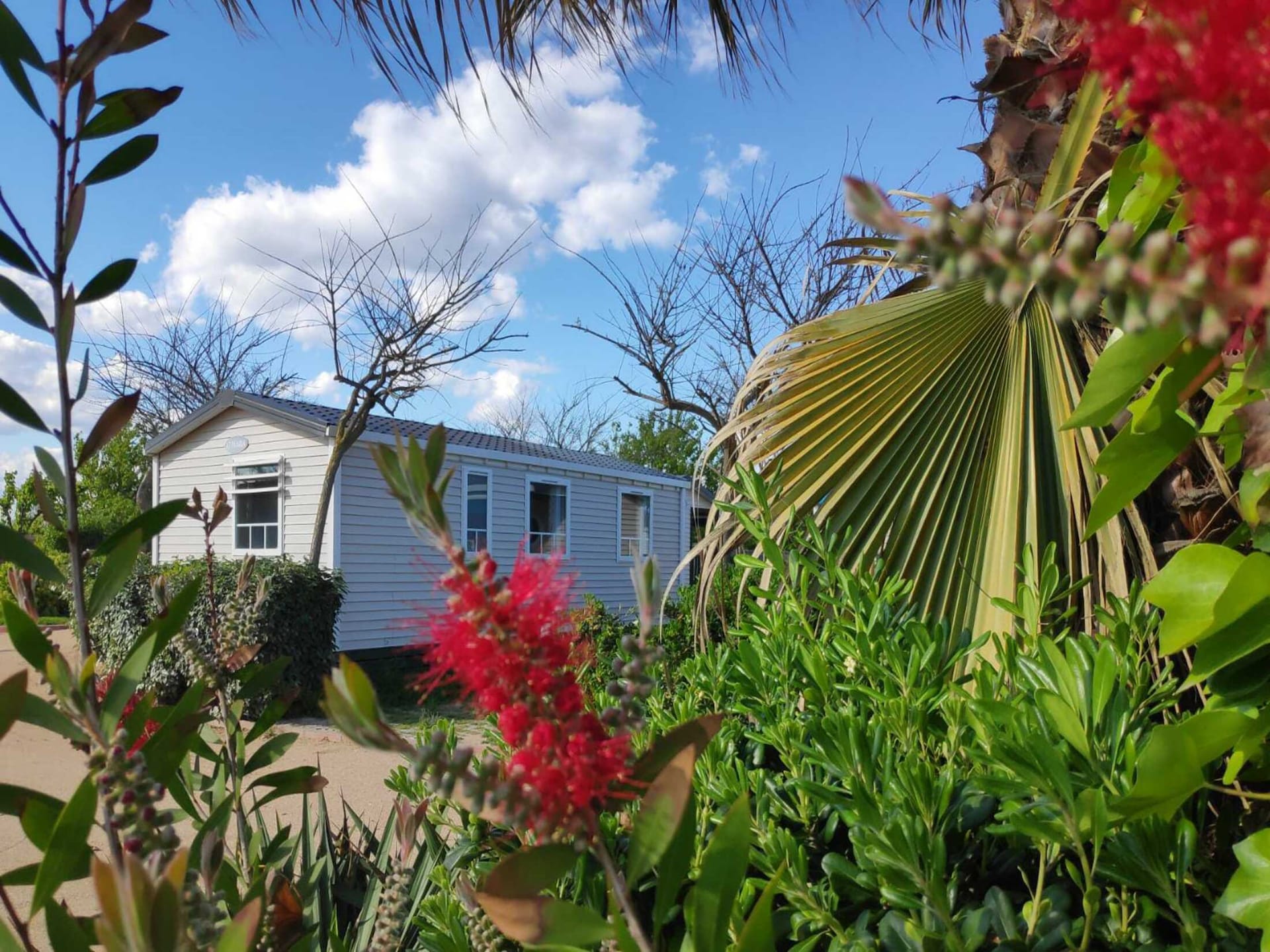 Comfortabel vakantiehuis voor 6 personen in Malgrat de Mar · 36 m² - foto 14