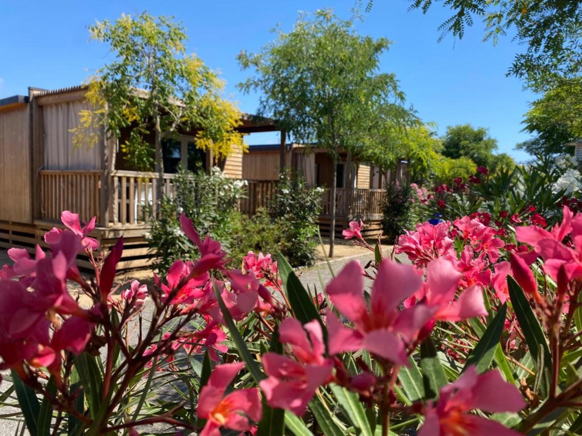 Comfortabel vakantiehuis voor 6 personen in Malgrat de Mar · 30 m² - foto 17
