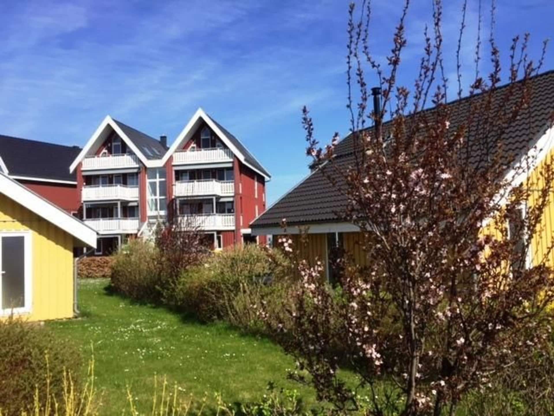Op 400 m van het strand: Rustig vakantiehuis in Rechlin - foto 8