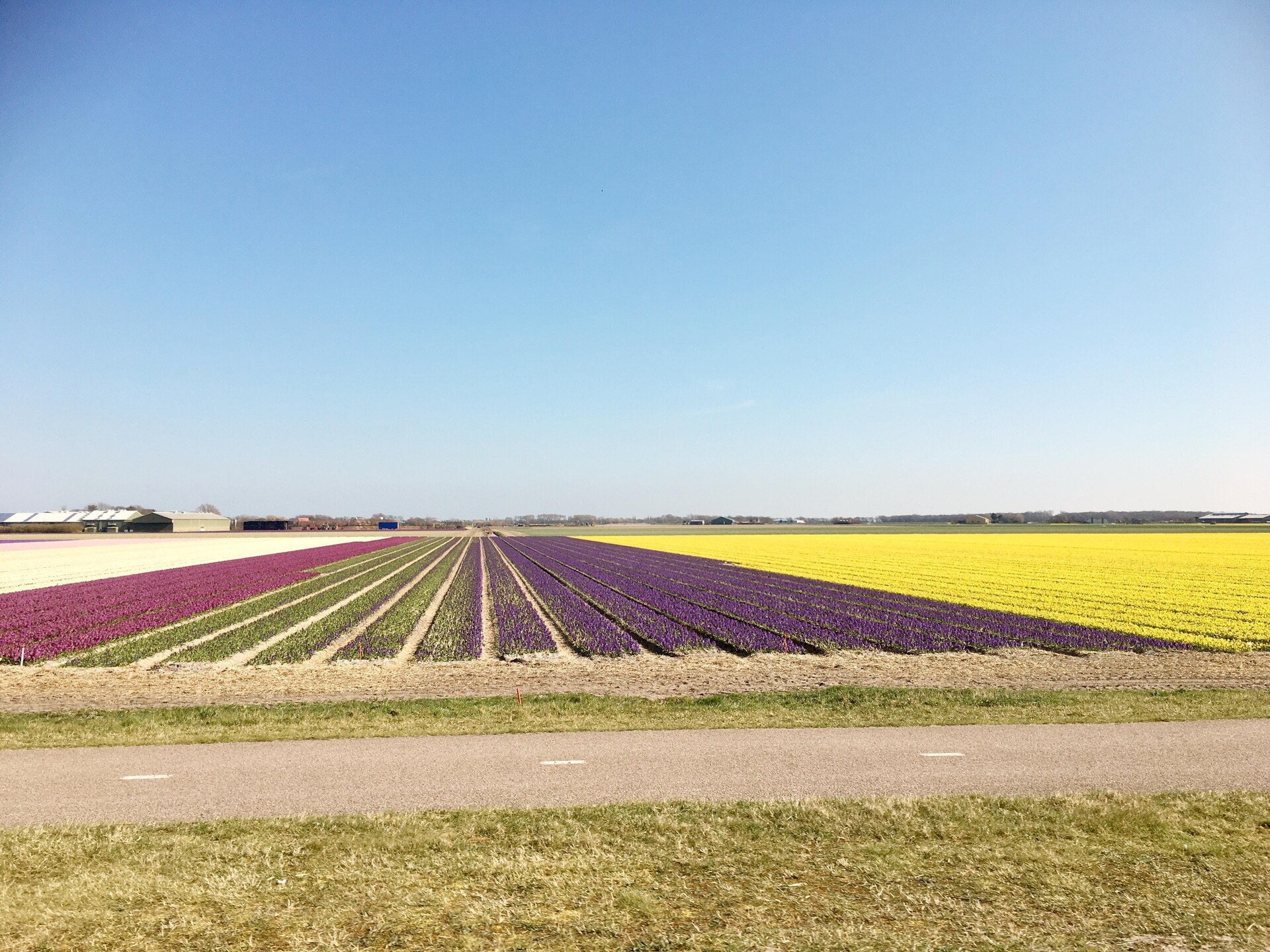 Cosy Hideout: knus vakantiehuis op het platteland bij Dirkshorn, 8 km van zee - foto 29