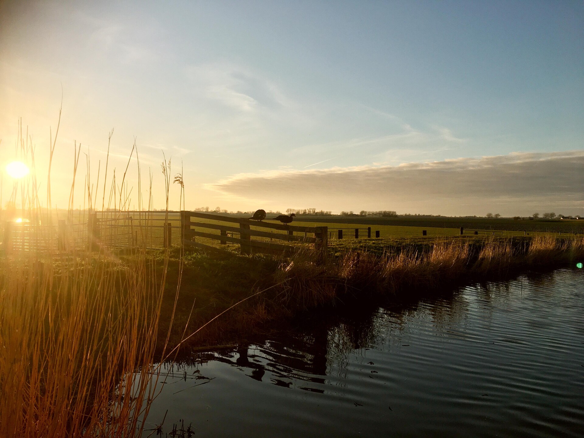 Cosy Hideout: knus vakantiehuis op het platteland bij Dirkshorn, 8 km van zee - foto 30