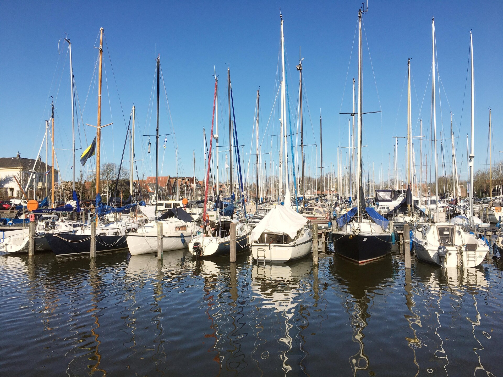 Cosy Hideout: knus vakantiehuis op het platteland bij Dirkshorn, 8 km van zee - foto 32