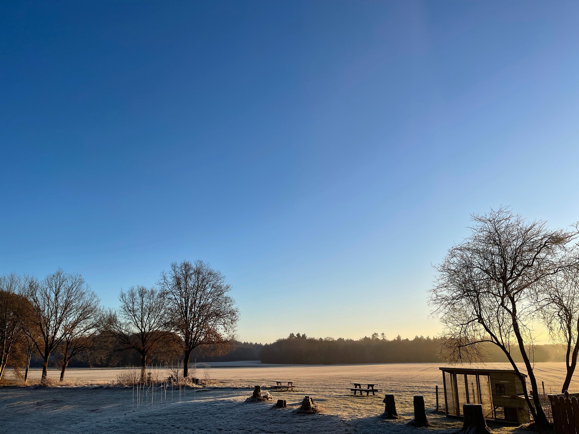 Landhuis Hezenes: luxe groepsaccommodatie met wellness op 1,5 hectare in Drenthe - foto 38