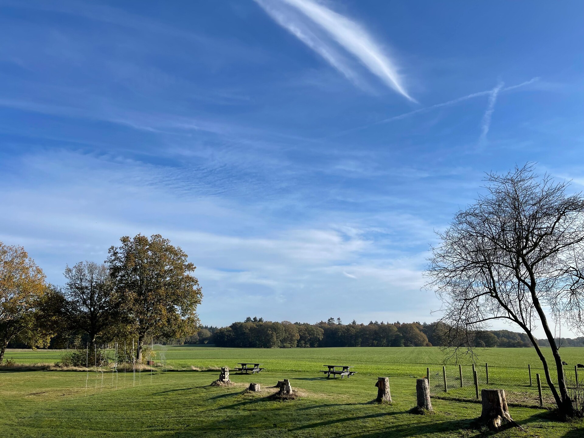 Landhuis Hezenes: luxe groepsaccommodatie met wellness op 1,5 hectare in Drenthe - foto 39
