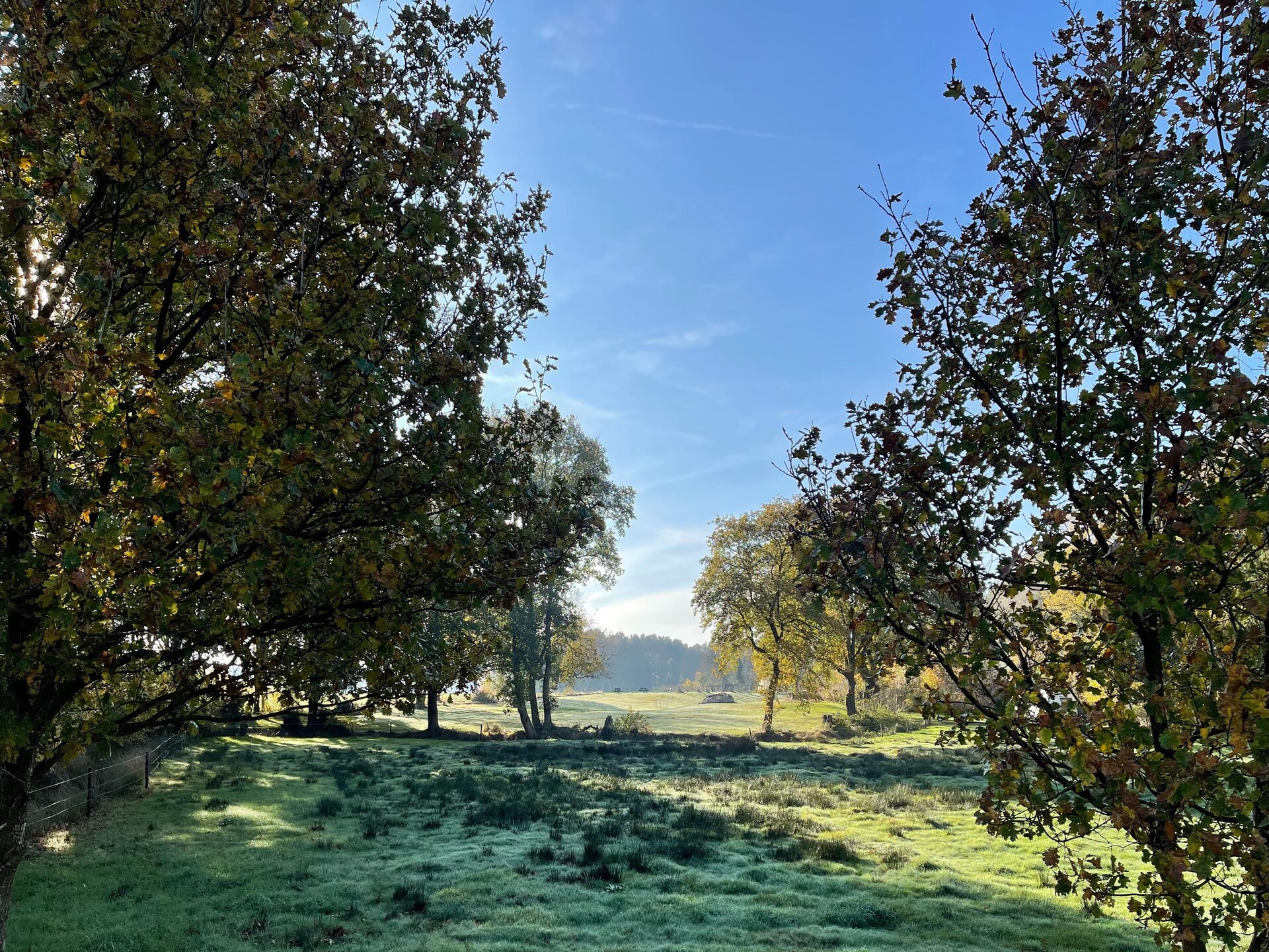 Landhuis Hezenes: luxe groepsaccommodatie met wellness op 1,5 hectare in Drenthe - foto 35