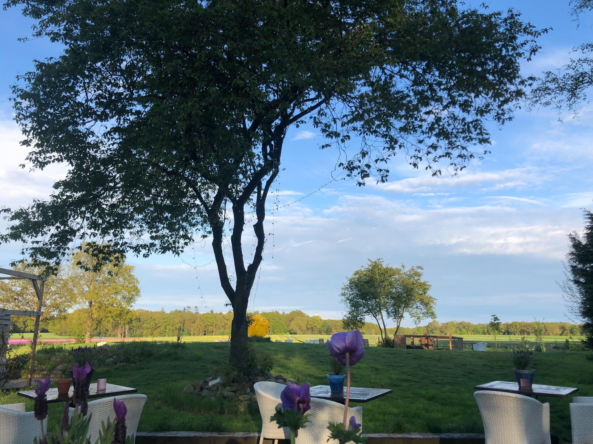 Landhuis Hezenes: luxe groepsaccommodatie met wellness op 1,5 hectare in Drenthe - foto 32