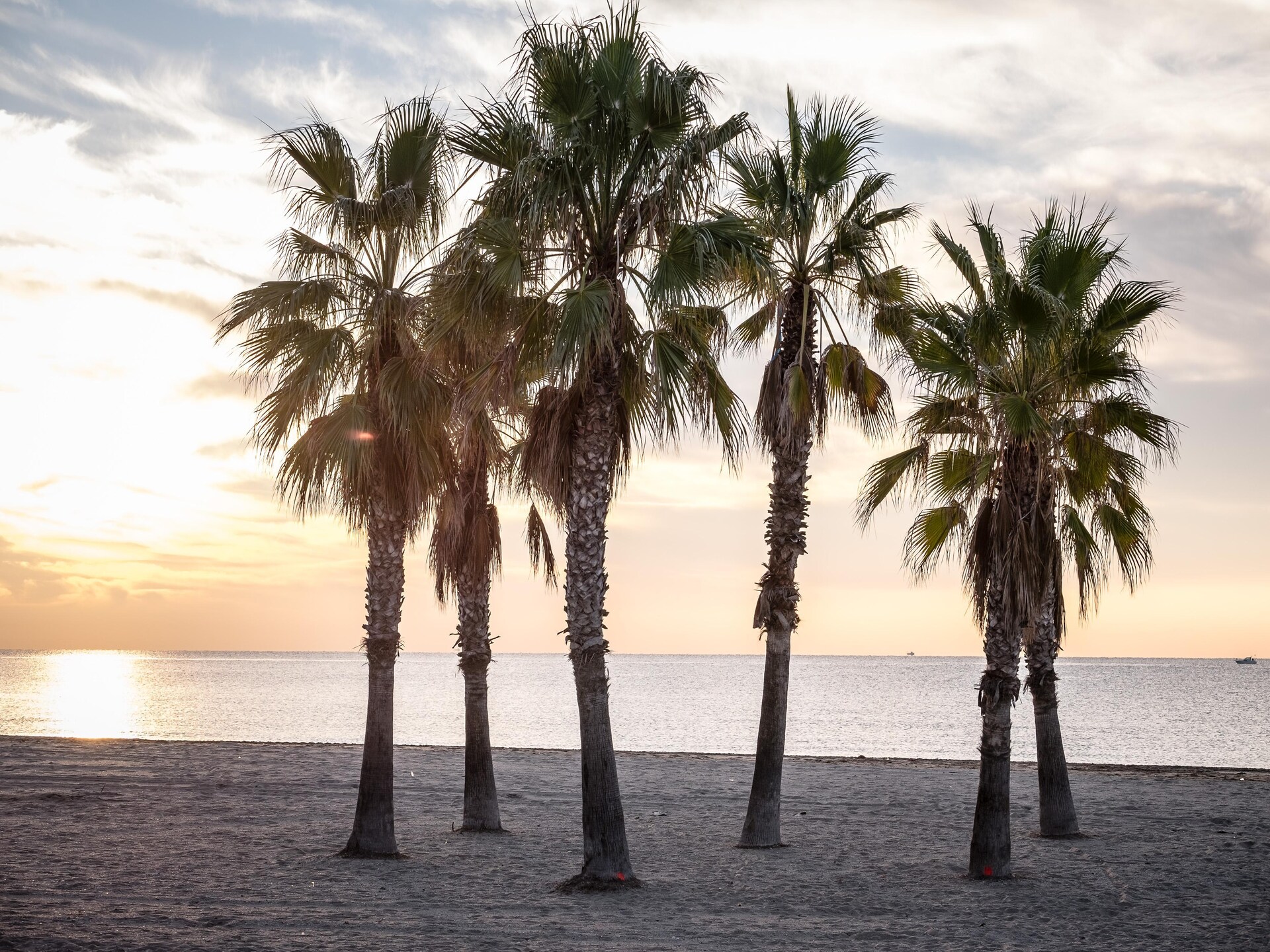 Comfortabel vakantiehuis voor 4 personen in Tarragona - foto 27