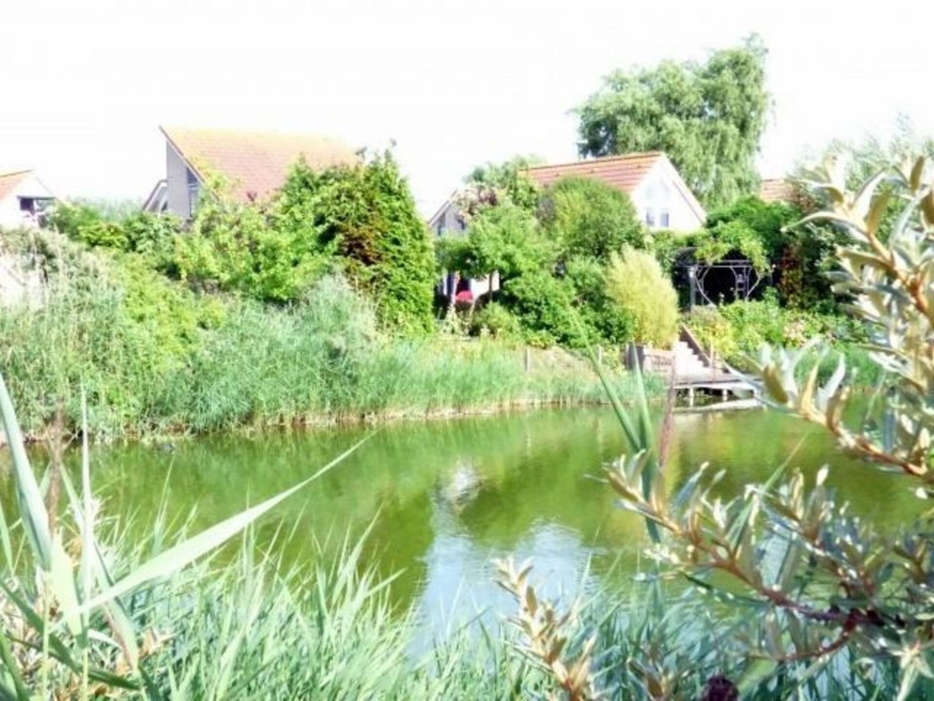 Vrijstaand vakantiehuis Scheldeveste 153 met tuin aan het water in Breskens - foto 17