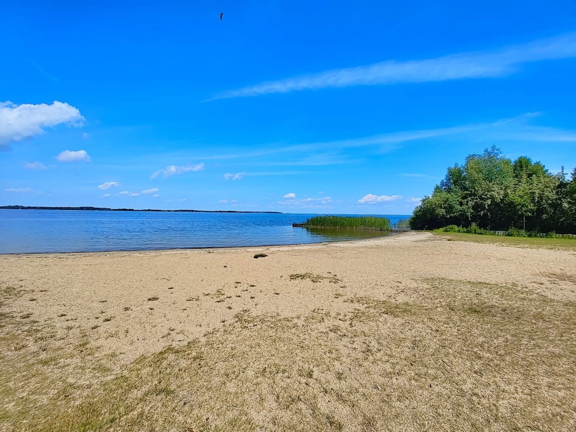 4-persoons appartement in Rechlin op 400m van het strand · 64 m² - foto 25
