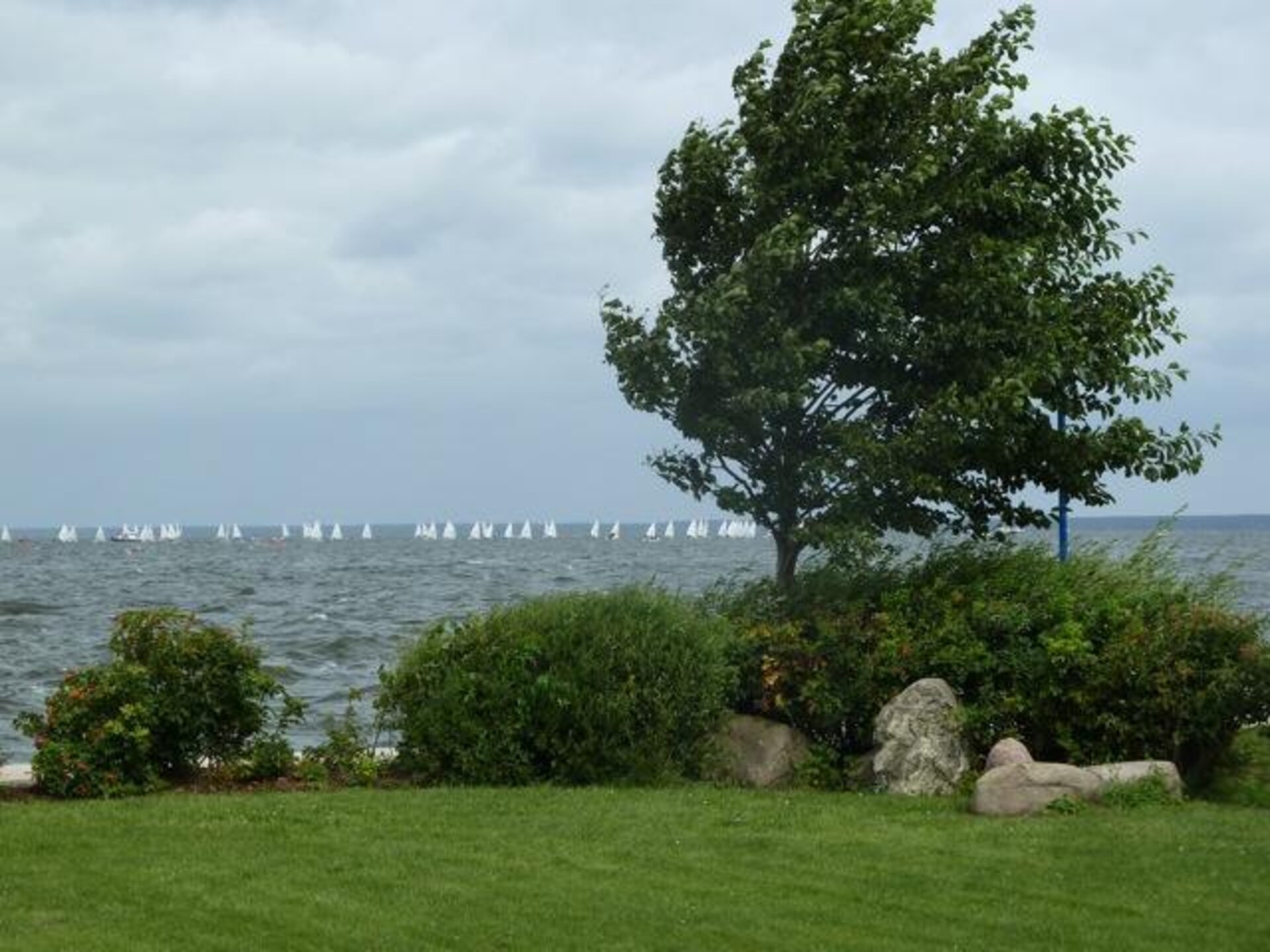 Rustiek vakantiehuis aan de Müritz met eigen strand op 400 meter - foto 28