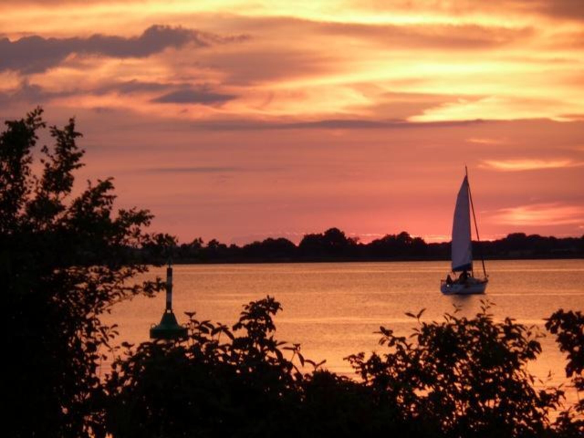 Rustiek vakantiehuis aan de Müritz met eigen strand op 400 meter - foto 29