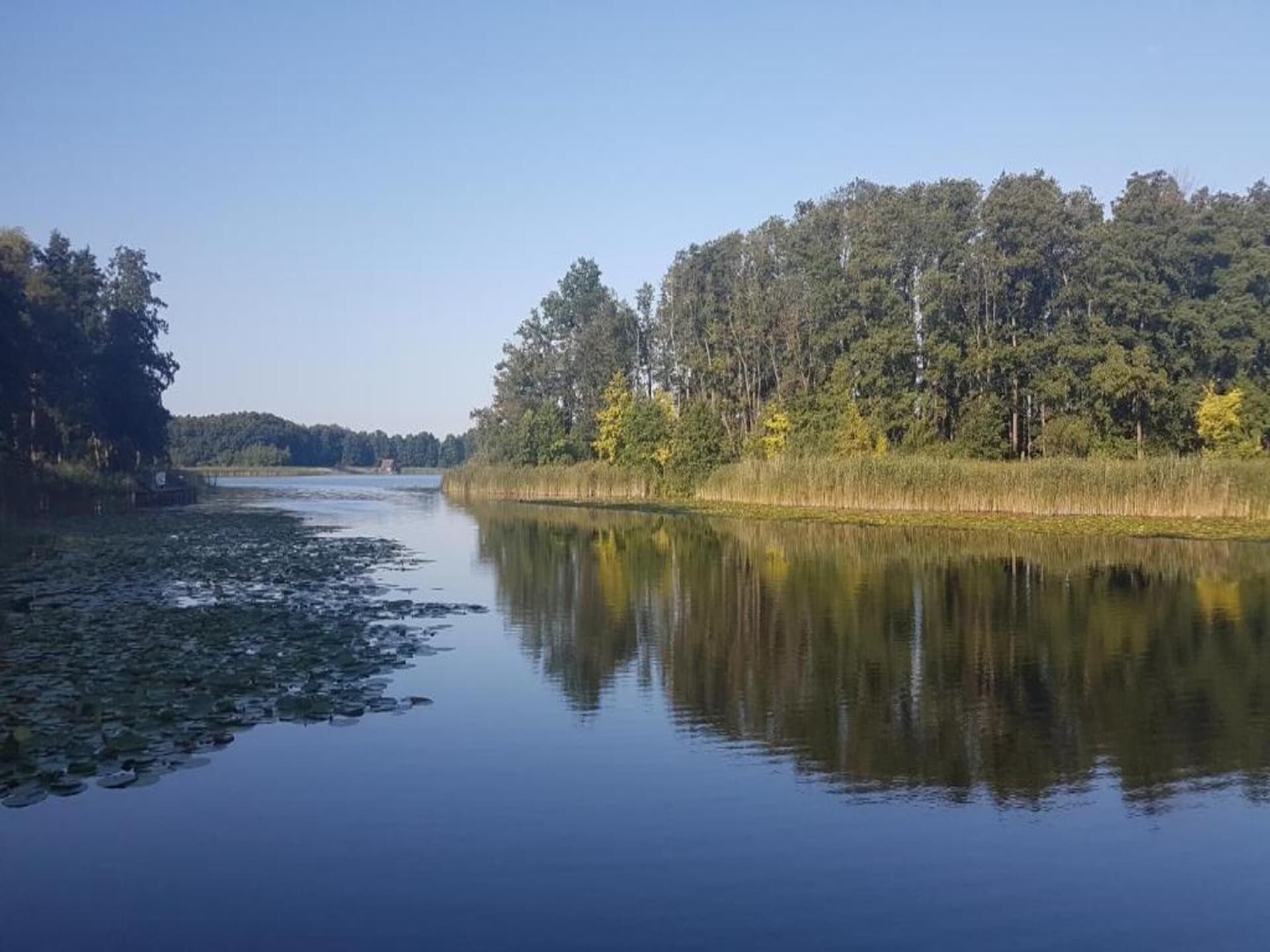 Gezinsvriendelijk vakantiehuis Kormoran 125 in Granzow - foto 27