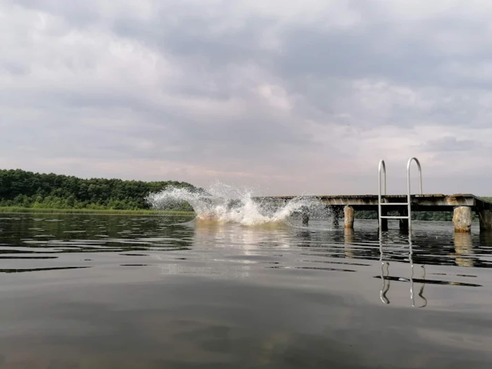 Gezinsvriendelijk vakantiehuis Kormoran 125 in Granzow - foto 31