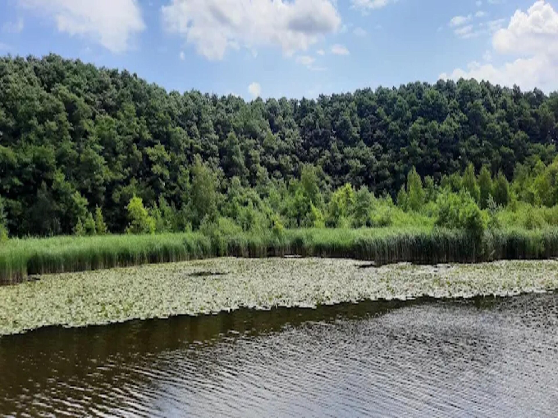 Gezinsvriendelijk vakantiehuis Kormoran 125 in Granzow - foto 37