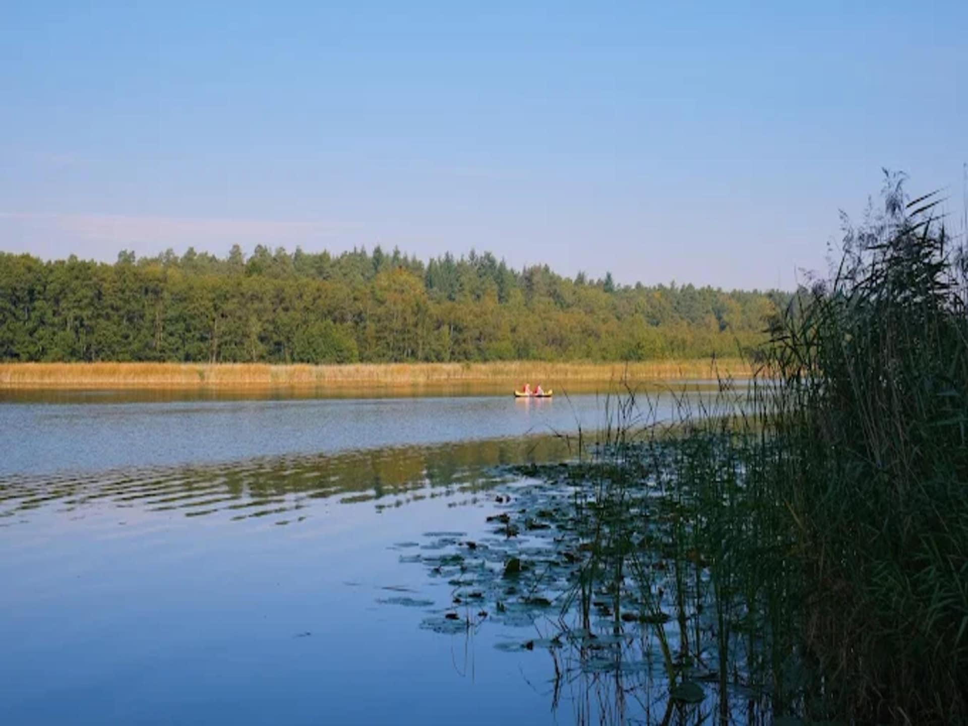 Gezinsvriendelijk vakantiehuis Kormoran 125 in Granzow - foto 18