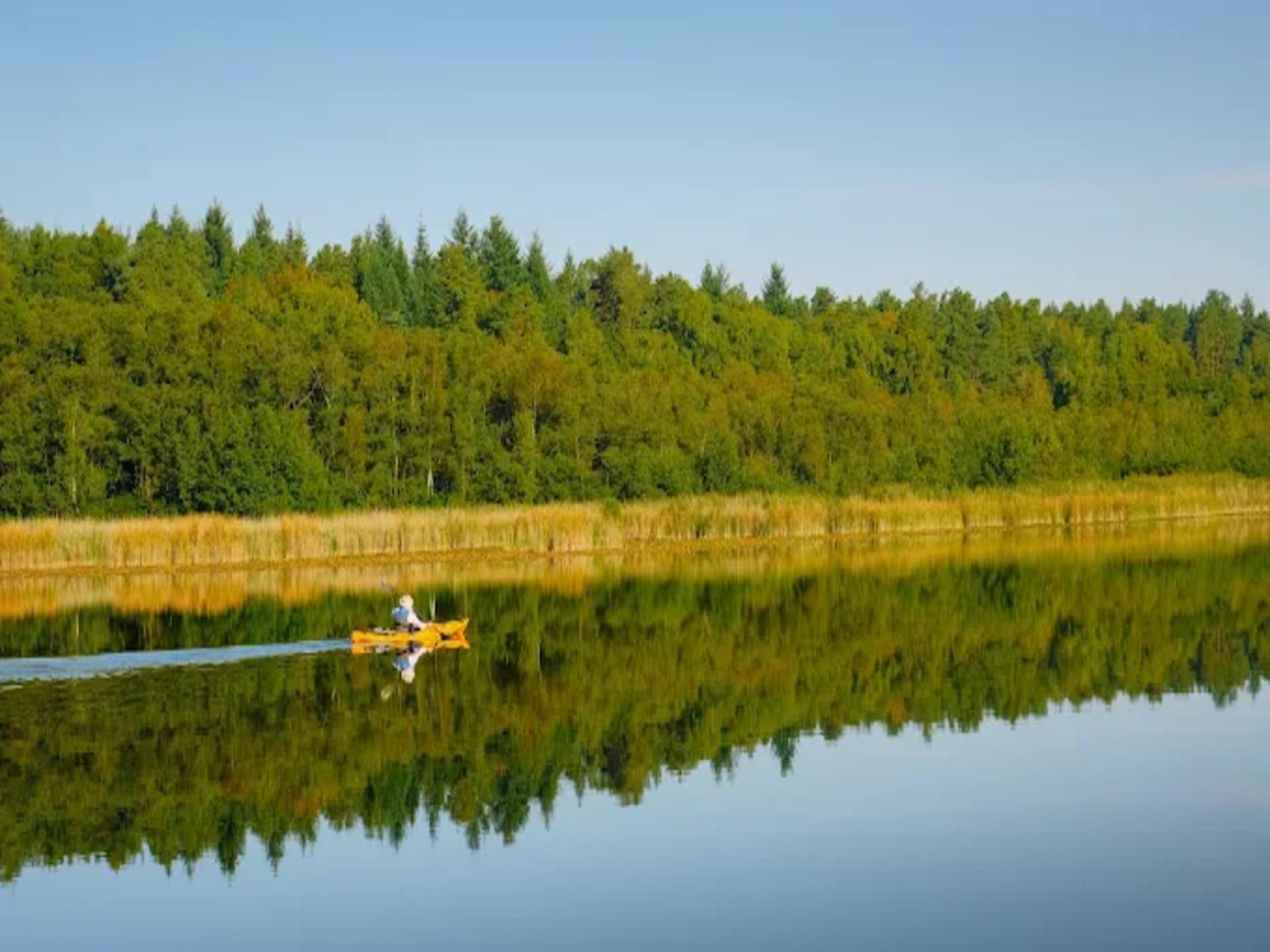 Gezinsvriendelijk vakantiehuis Kormoran 125 in Granzow - foto 14