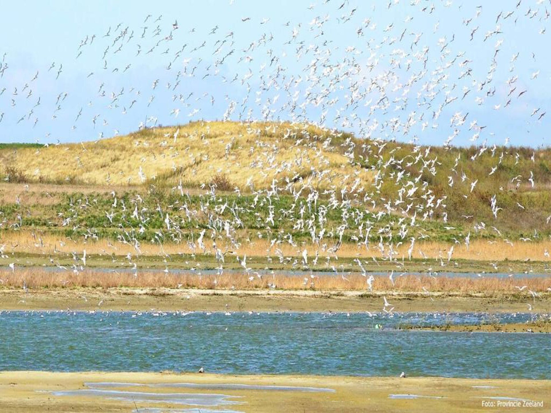 Gezellig vakantiehuis in Breskens, op 500m van het strand - foto 34