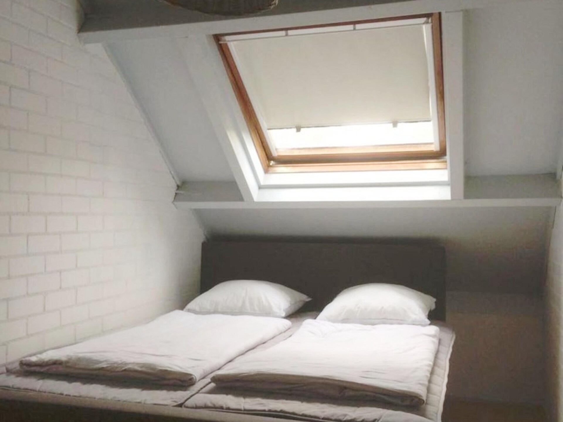 Gezellig vakantiehuis Duinroos in Breskens, huisdieren welkom - foto 3