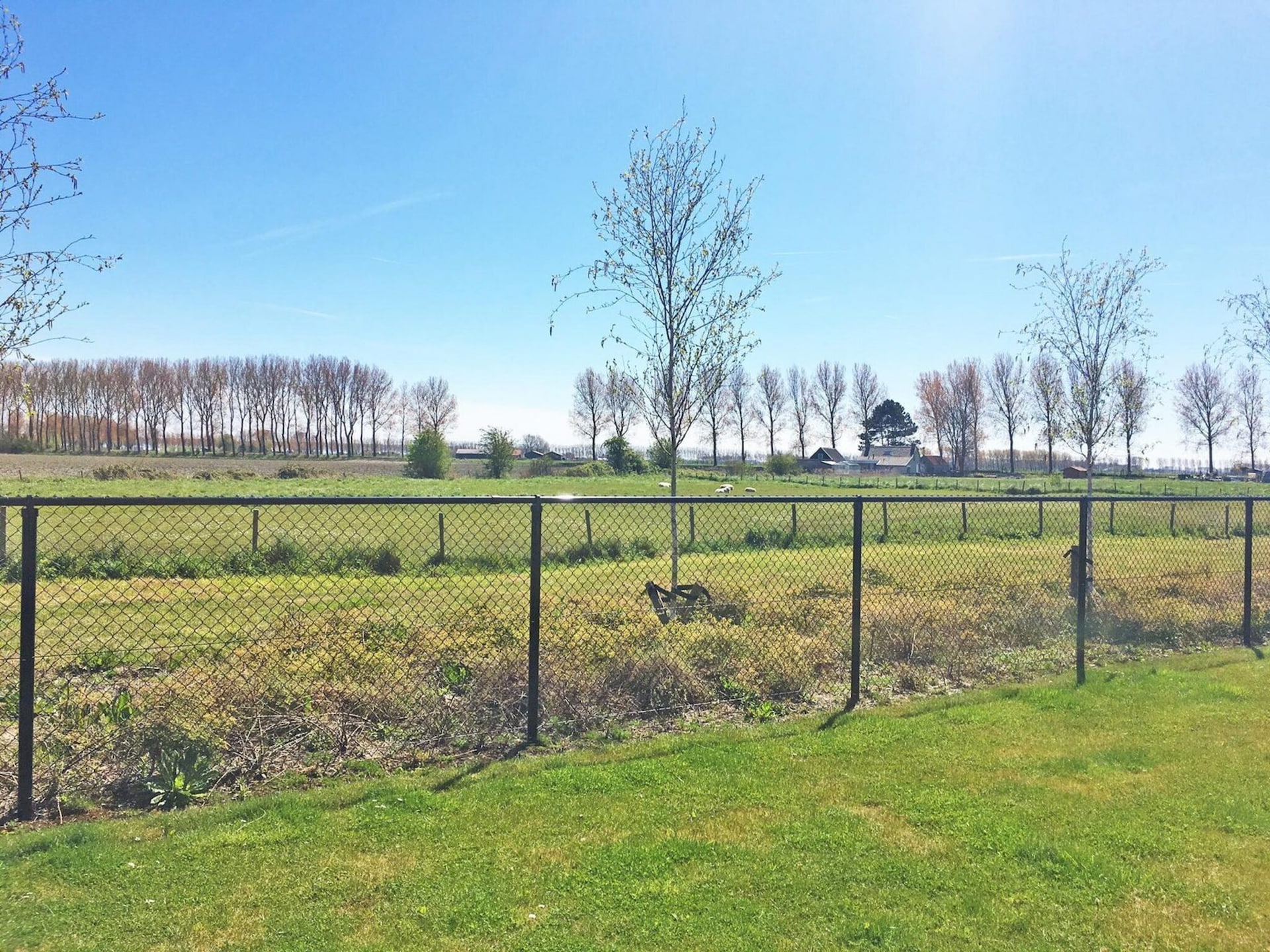 8-persoons vakantiehuis in Breskens op 1,4 km van het strand (2) - foto 14