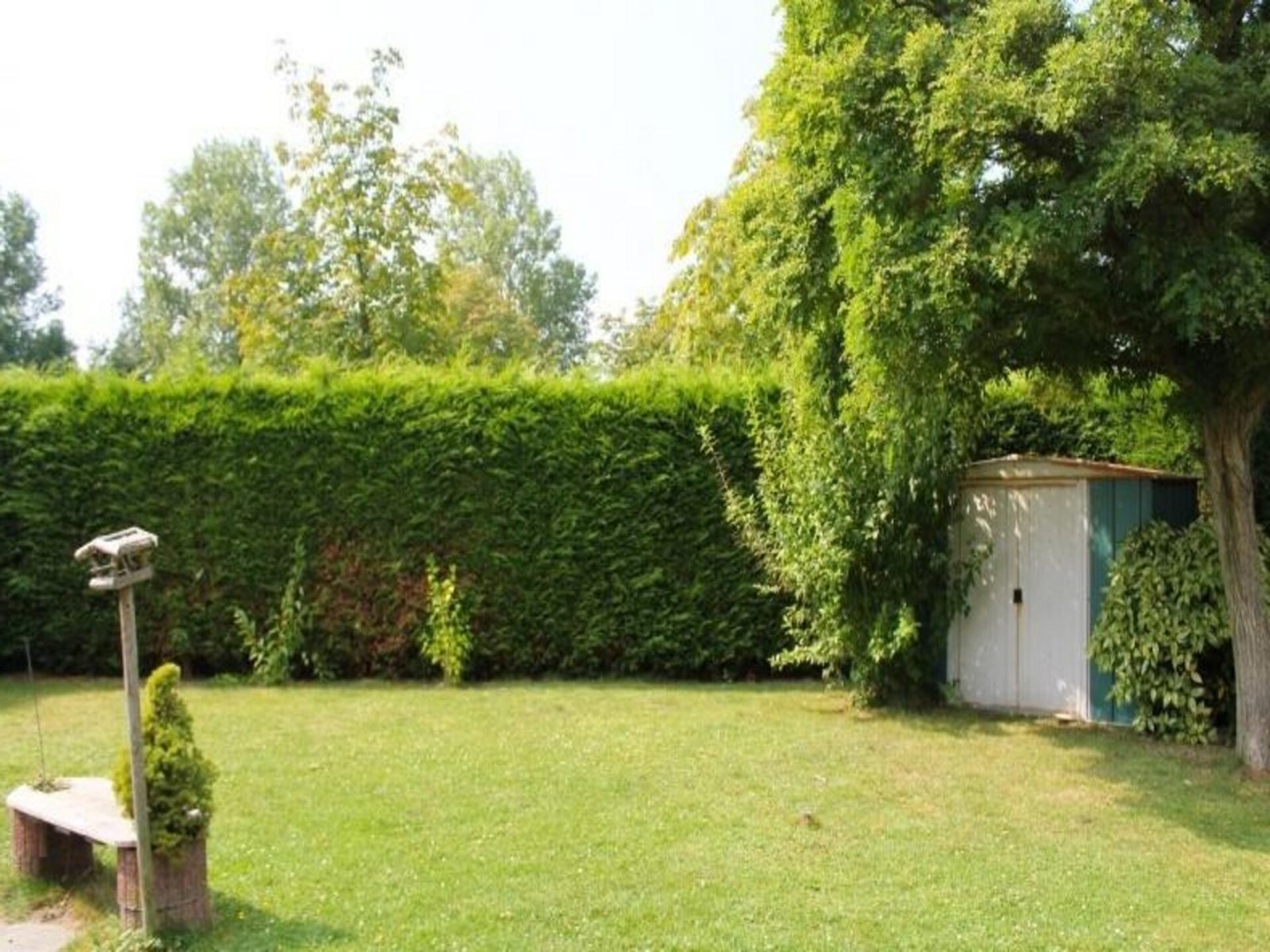 Duinroos: Knus vakantiehuis met tuin in het centrum van Breskens - foto 5