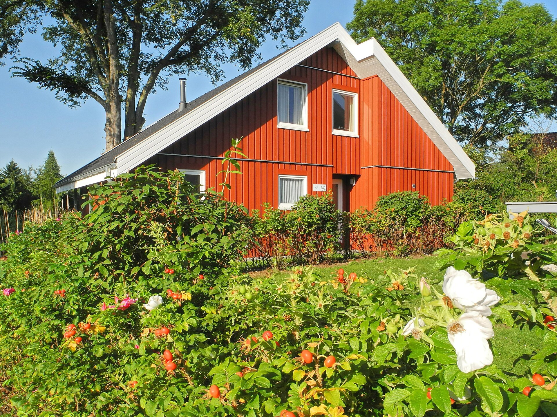 Ruim vakantiehuis Wildgans Classic 249 aan het Granzower Meer - foto 6