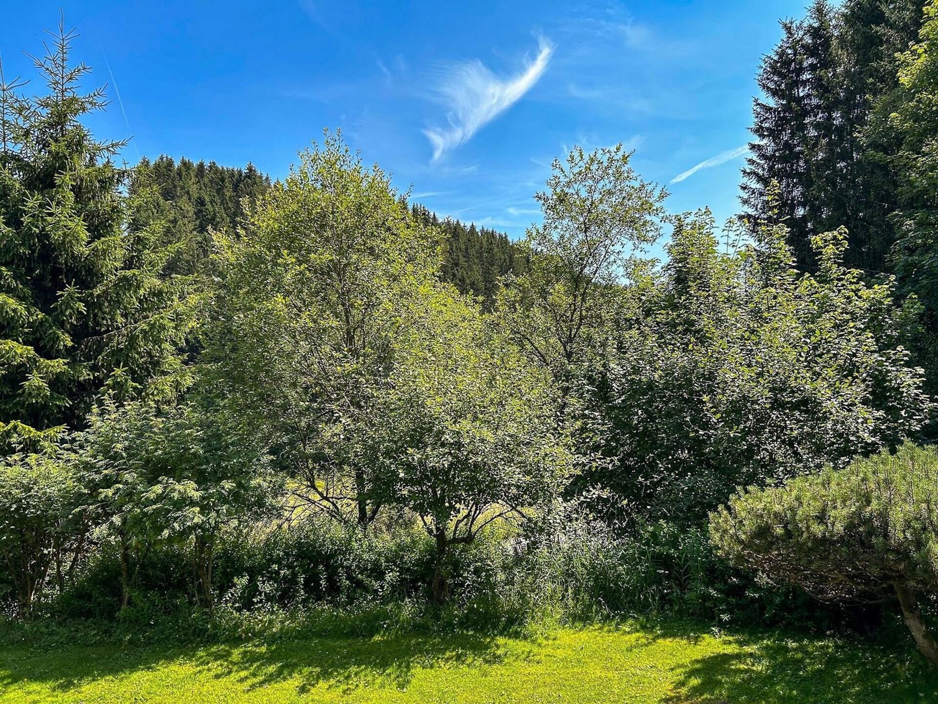Modern appartement aan de golfbaan met wellness in Winterberg - foto 21