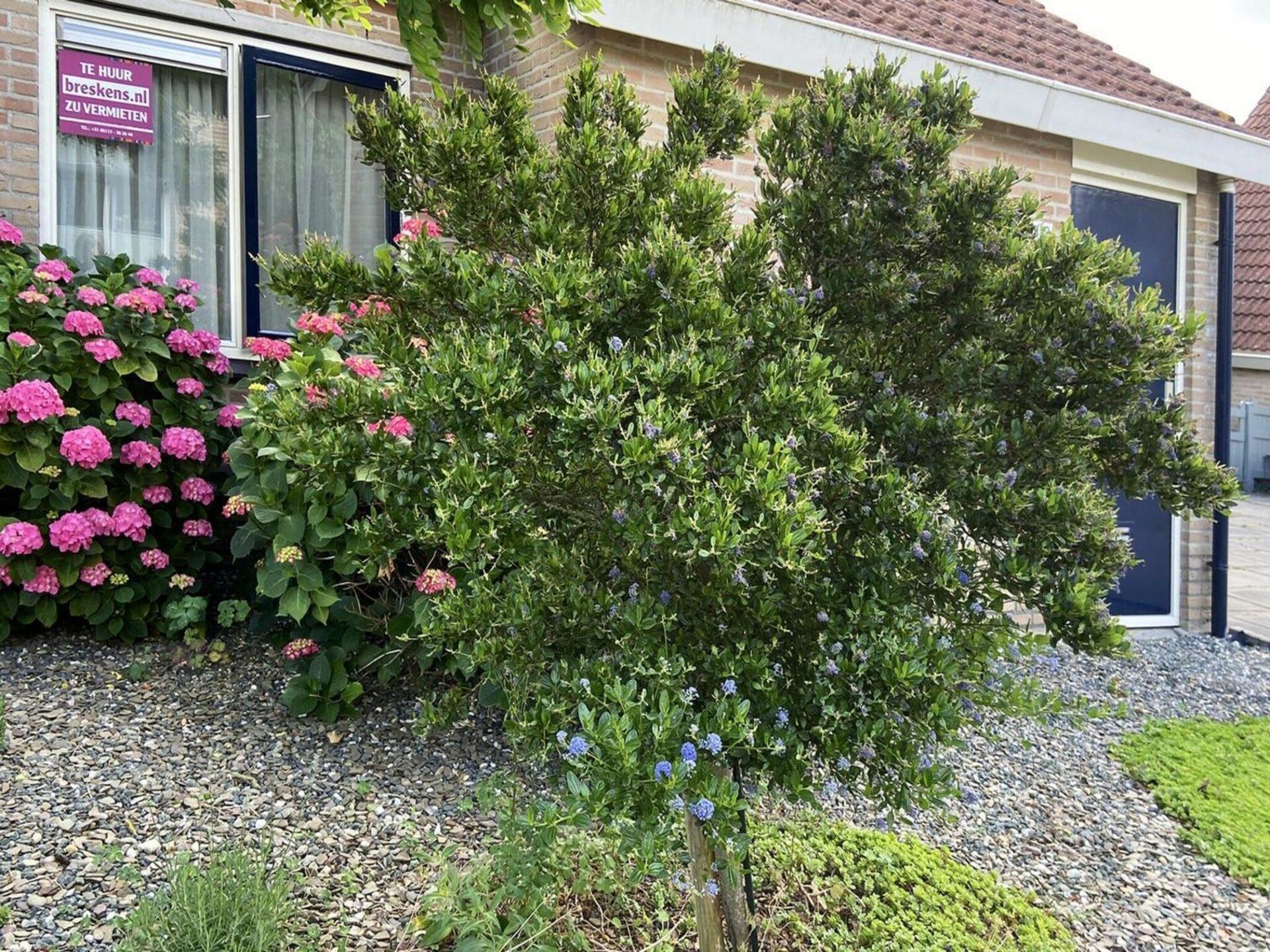 Scheldeveste 129: Luxe vakantiehuis met tuin op 500m van het strand in Breskens - foto 18