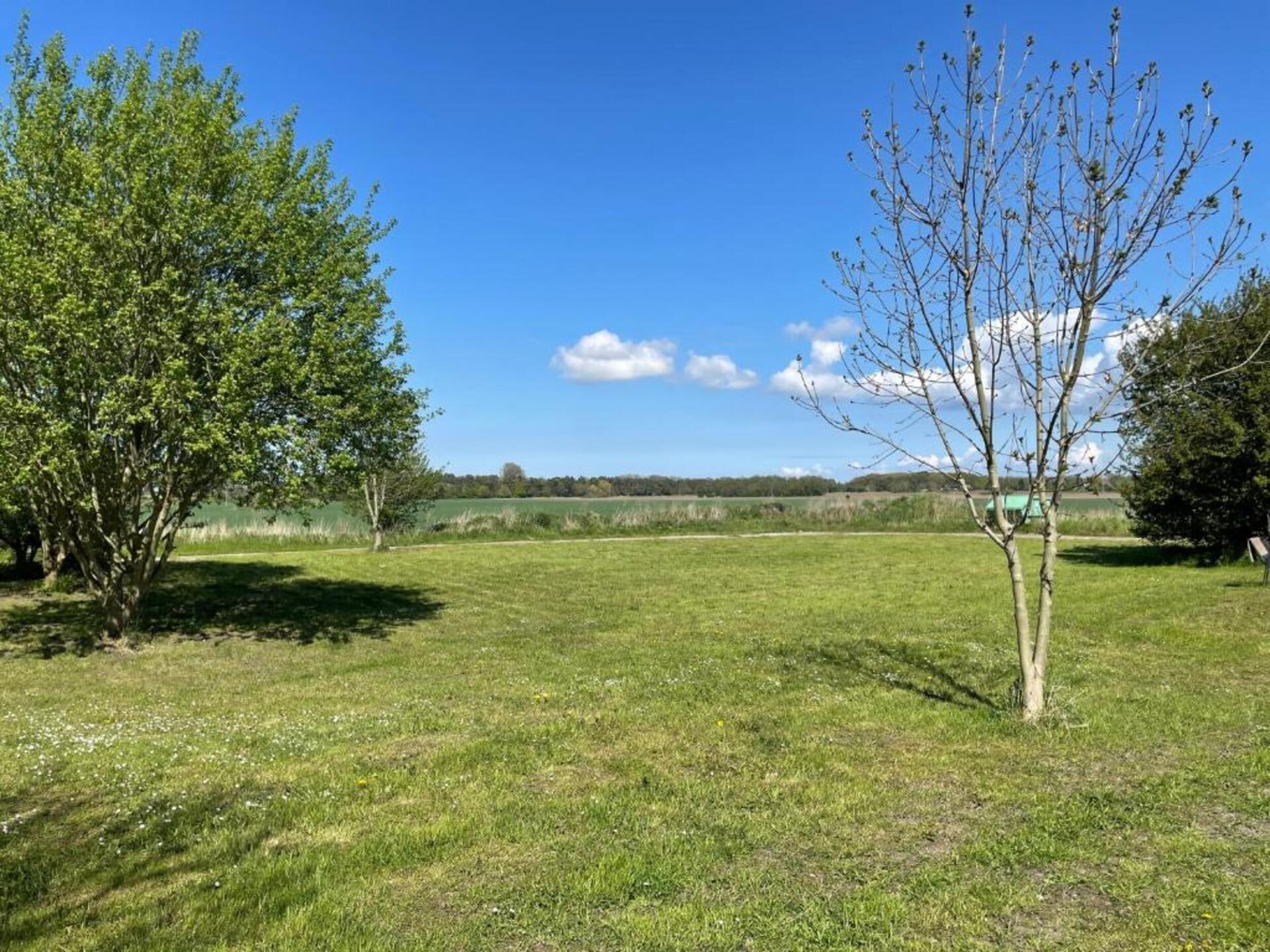 Bosvakantiehuis nabij Stralsund en Oostzee – 4 personen - foto 31