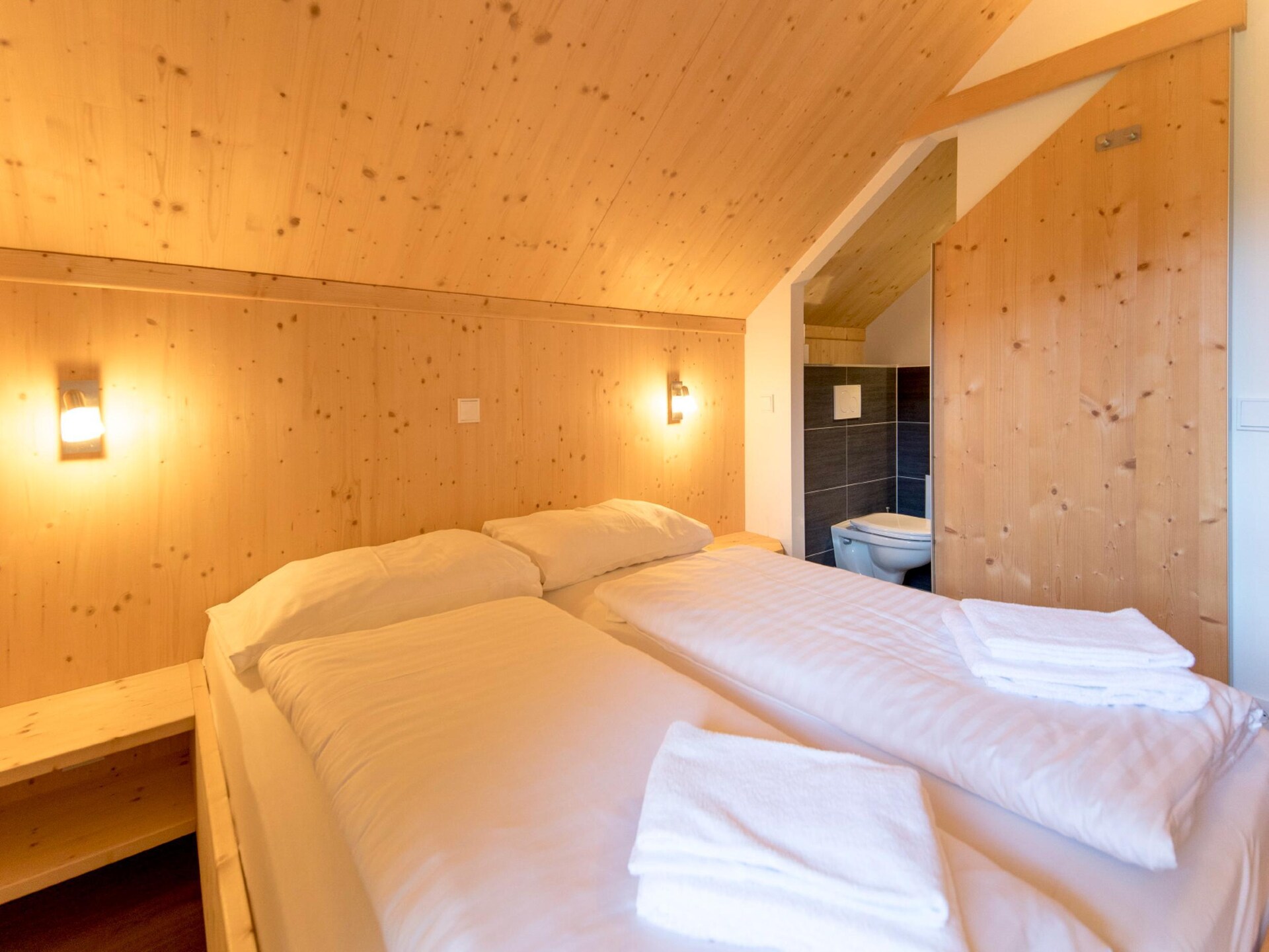Chalet 15 aan de Kreischberg: 100m van de piste, met bubbelbad en boszicht - foto 14