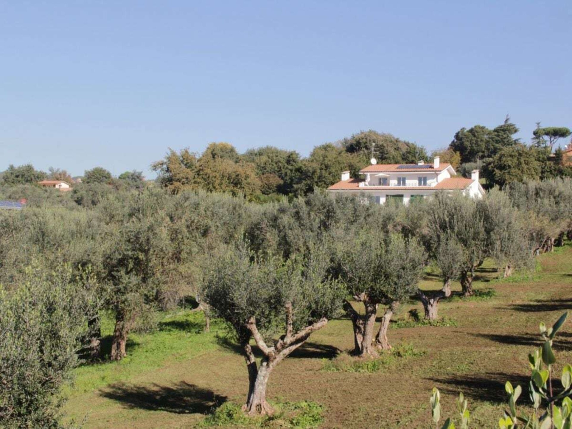 Modern vakantieappartement Olivi met zwembad en zeezicht nabij Rome - foto 5
