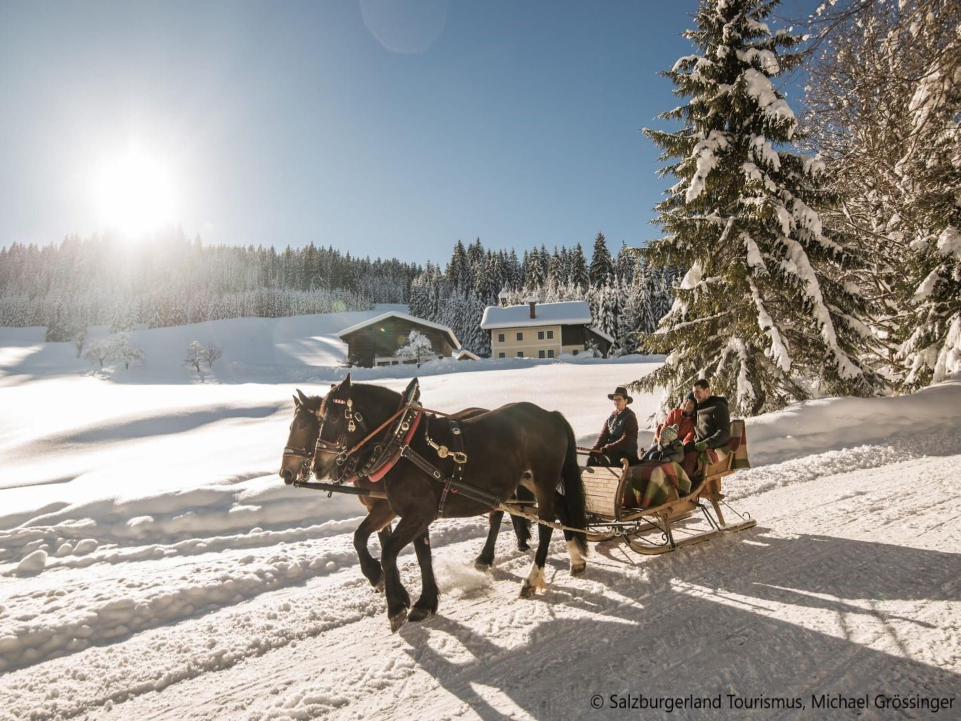 Luxe appartement voor 8 personen in St. Martin am Tennengebirge - foto 40