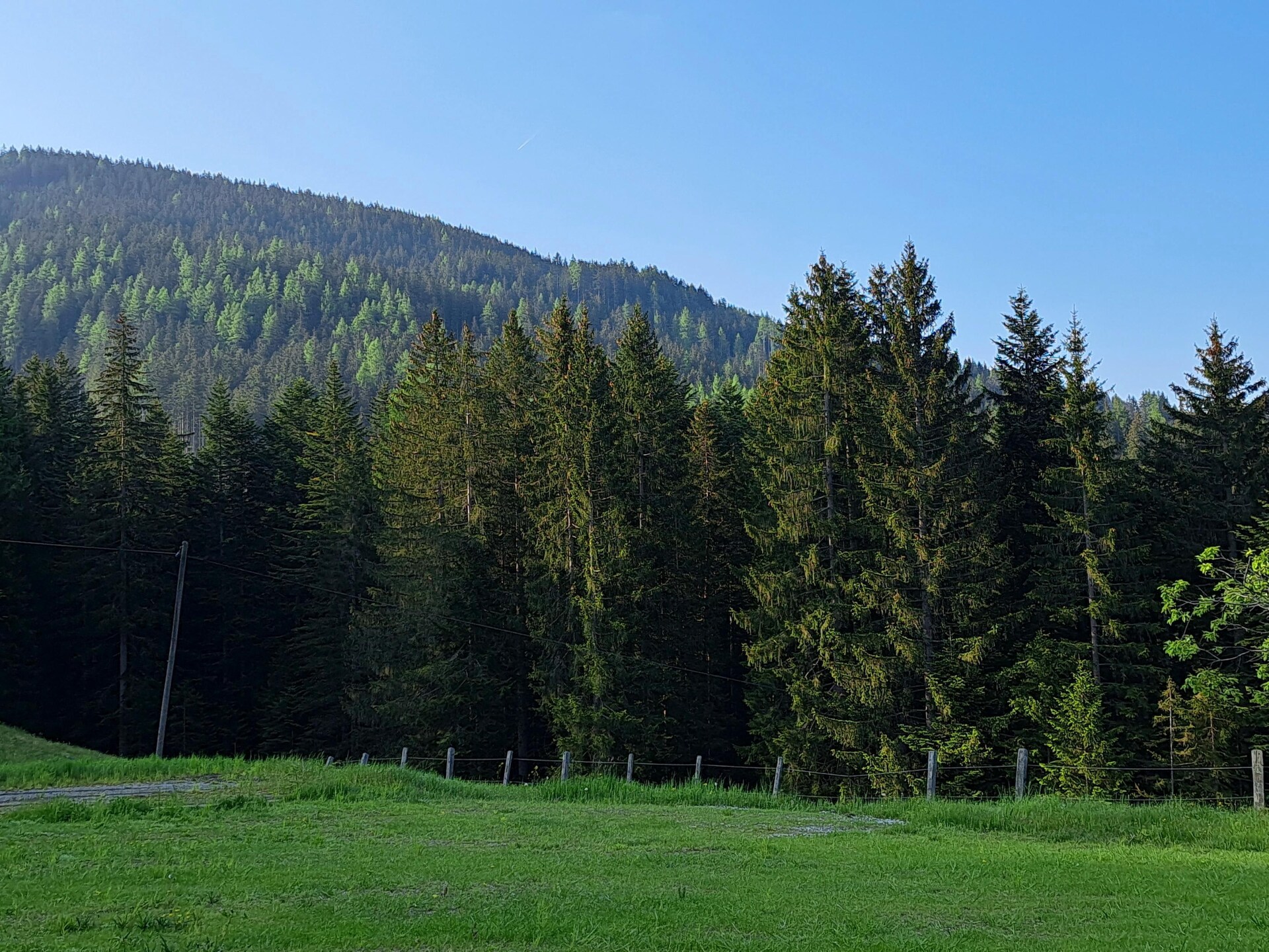 Luxe appartement voor 8 personen in St. Martin am Tennengebirge - foto 27