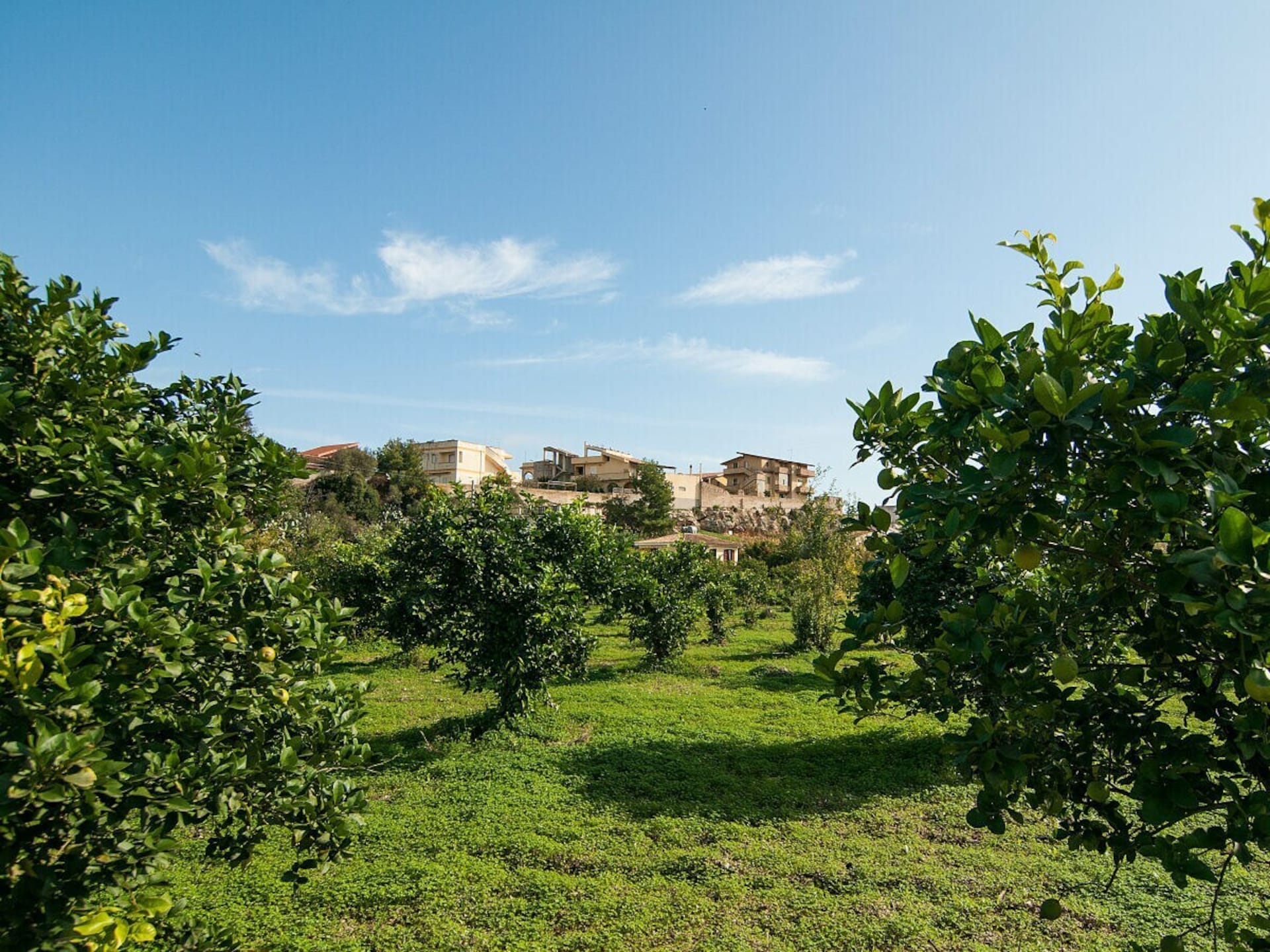 Zonnig vakantiehuis met citroentuin, 300m van strand in Noto Marina - foto 7