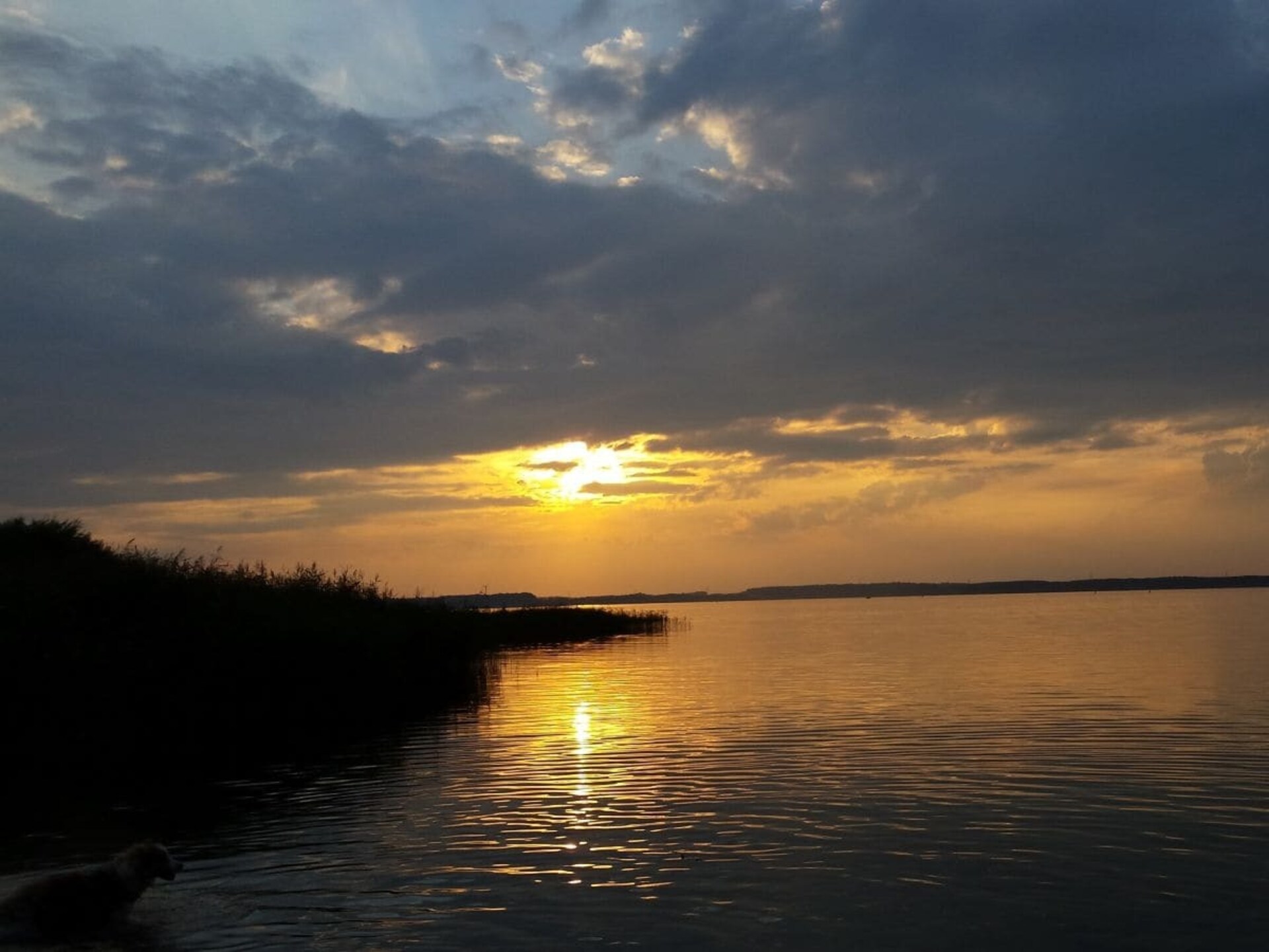 Romantisch vakantiehuis aan de Fleesensee in Mecklenburg - foto 20