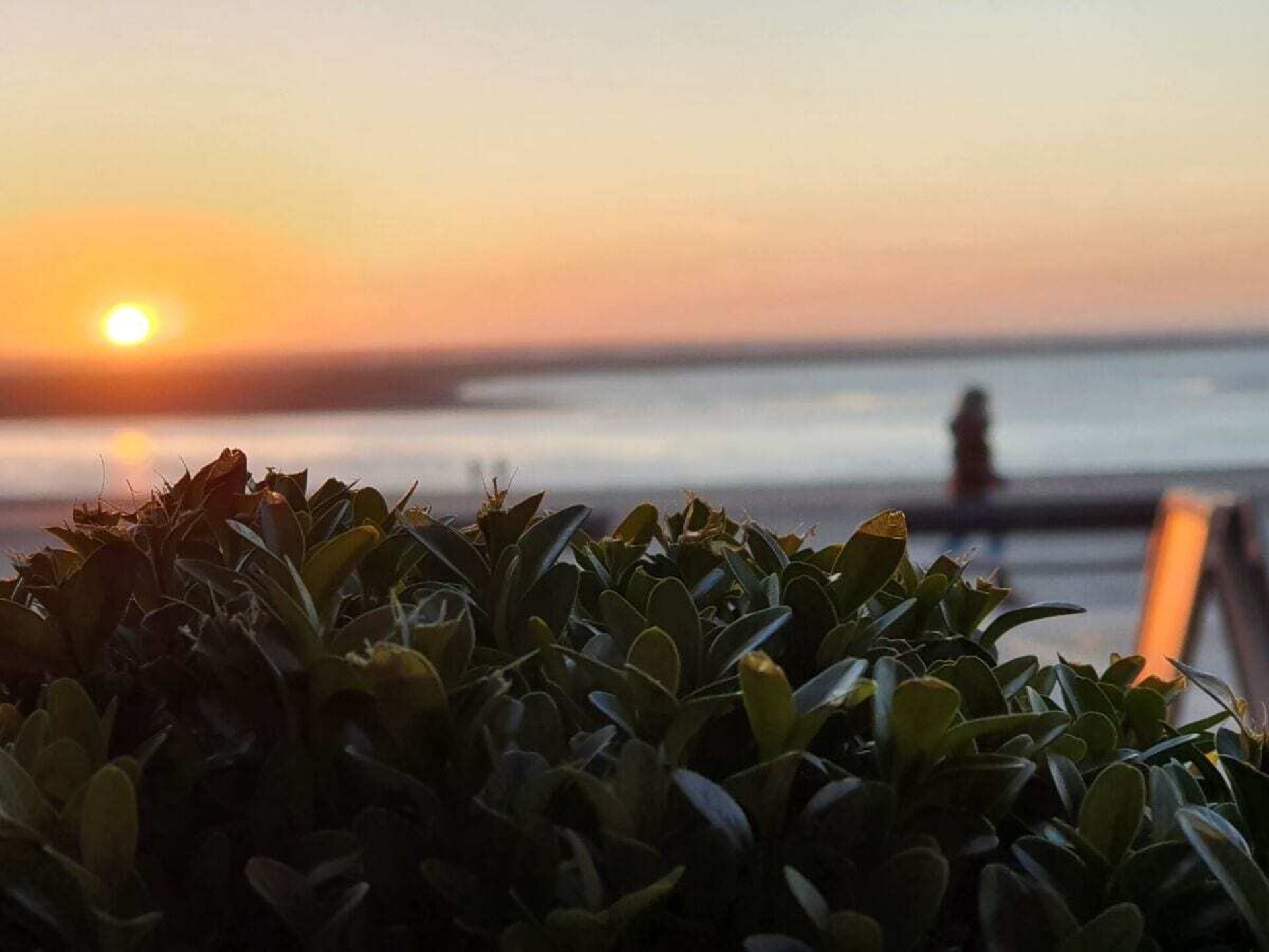 Licht & allergievriendelijk vakantiehuis voor 8 personen op Borkum - foto 14