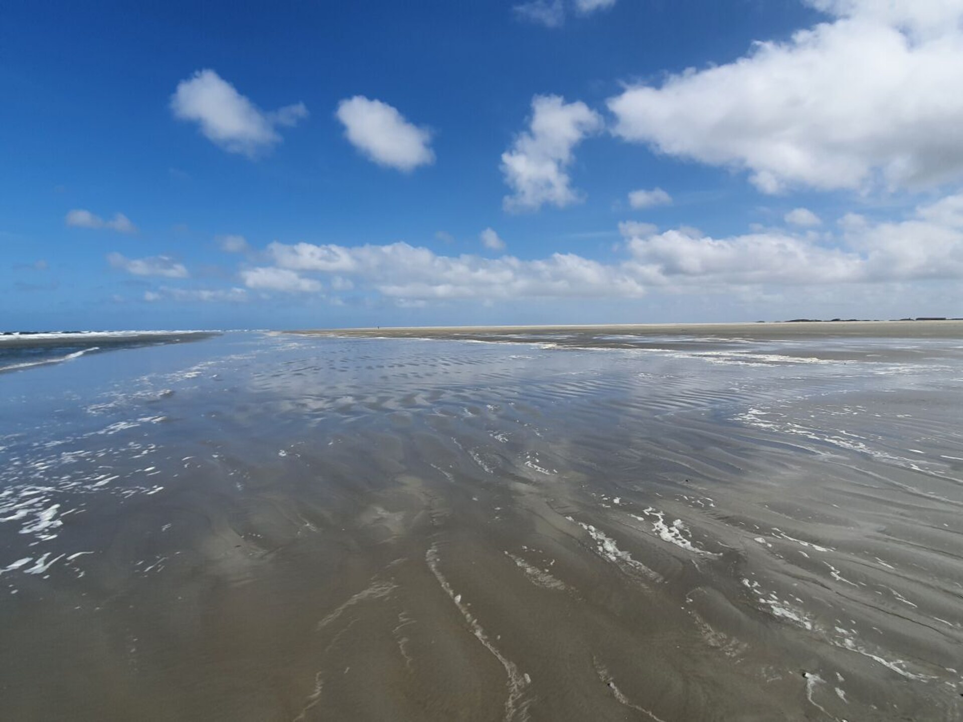 Licht & allergievriendelijk vakantiehuis voor 8 personen op Borkum - foto 15