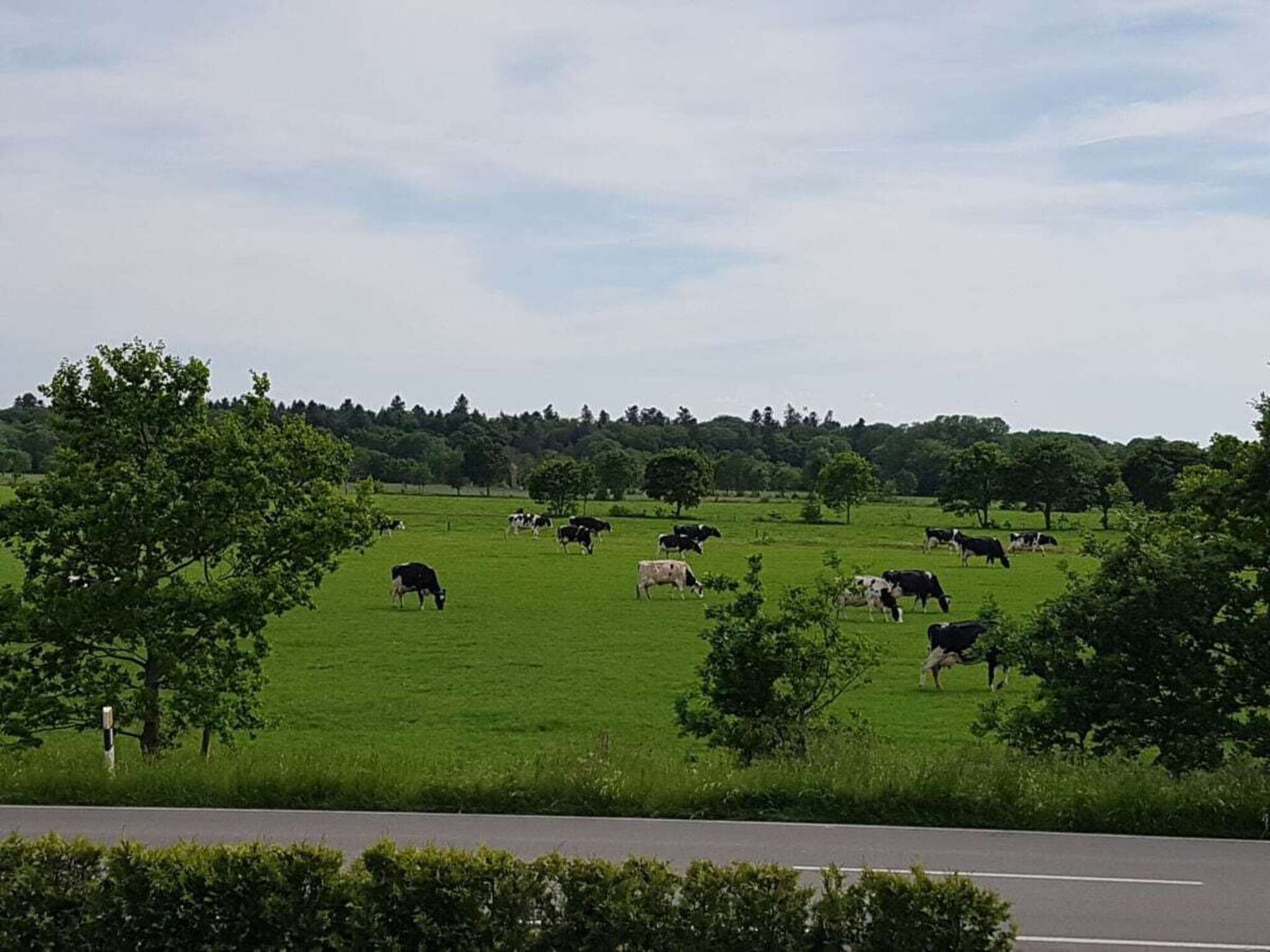 Comfortabel vakantiehuis met grote omheinde tuin in Großheide - foto 13