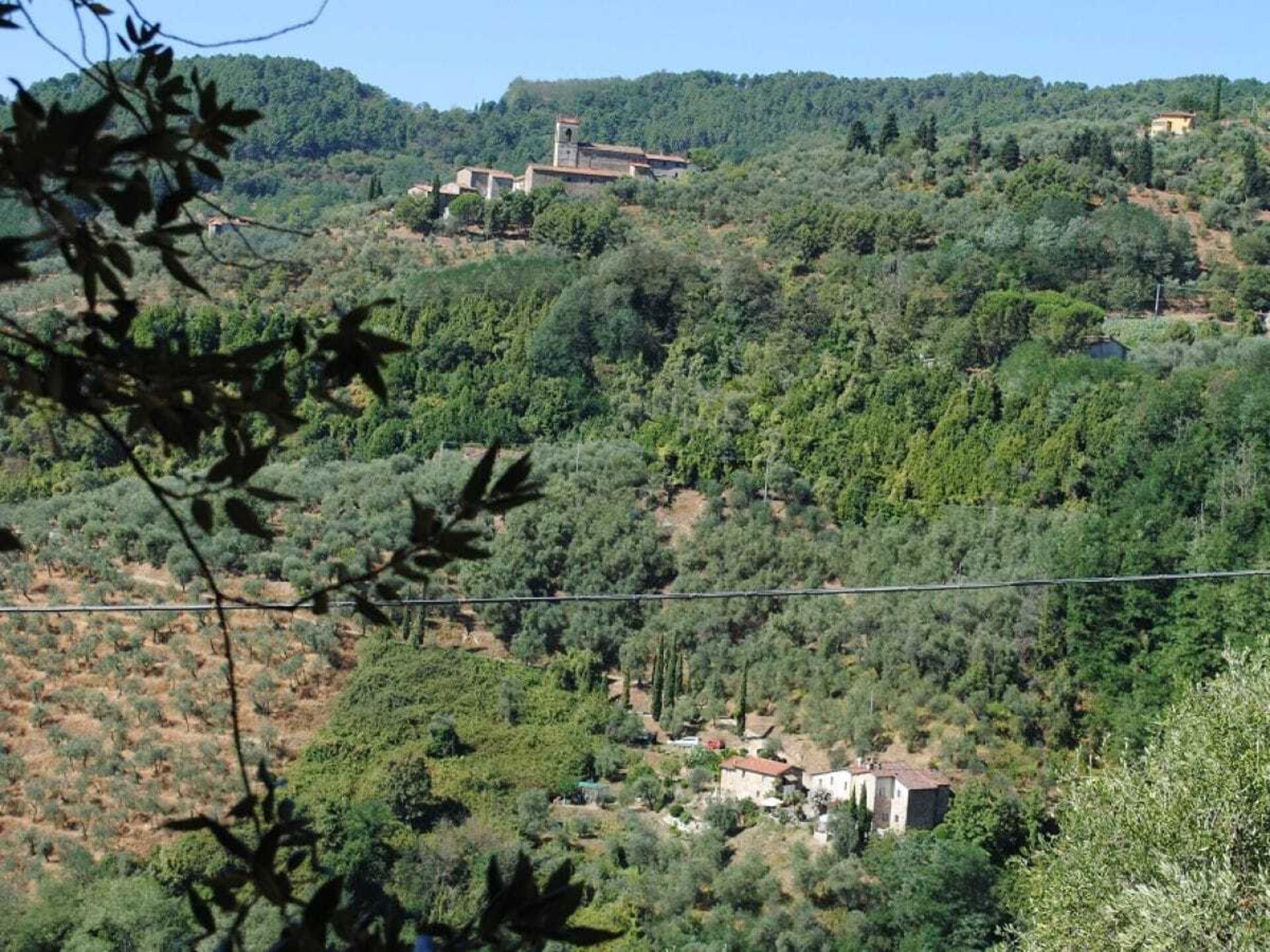 Verscholen vakantiehuis in Toscaanse olijfgaard bij Pescia - foto 2