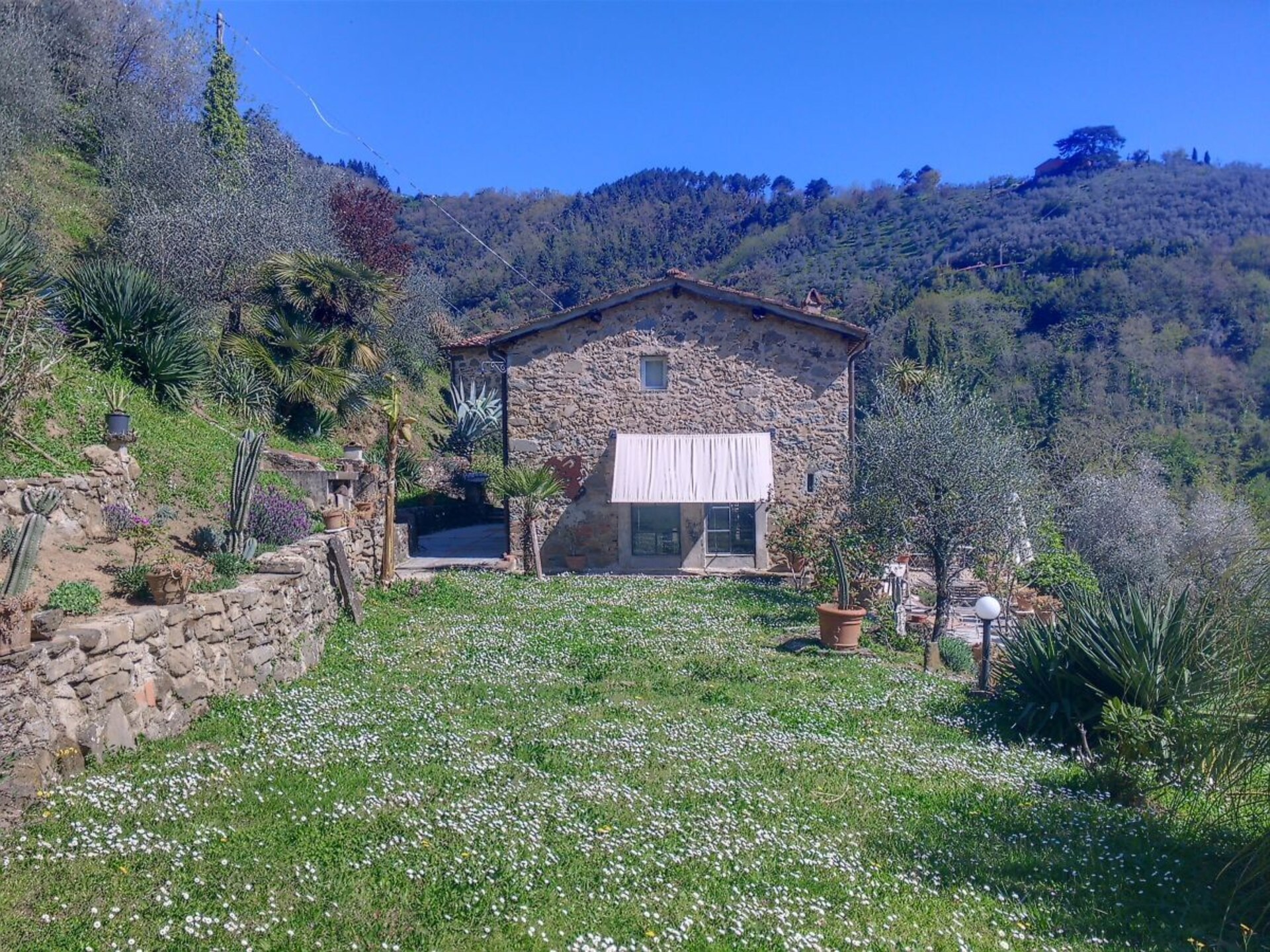Verscholen vakantiehuis in Toscaanse olijfgaard bij Pescia - foto 4