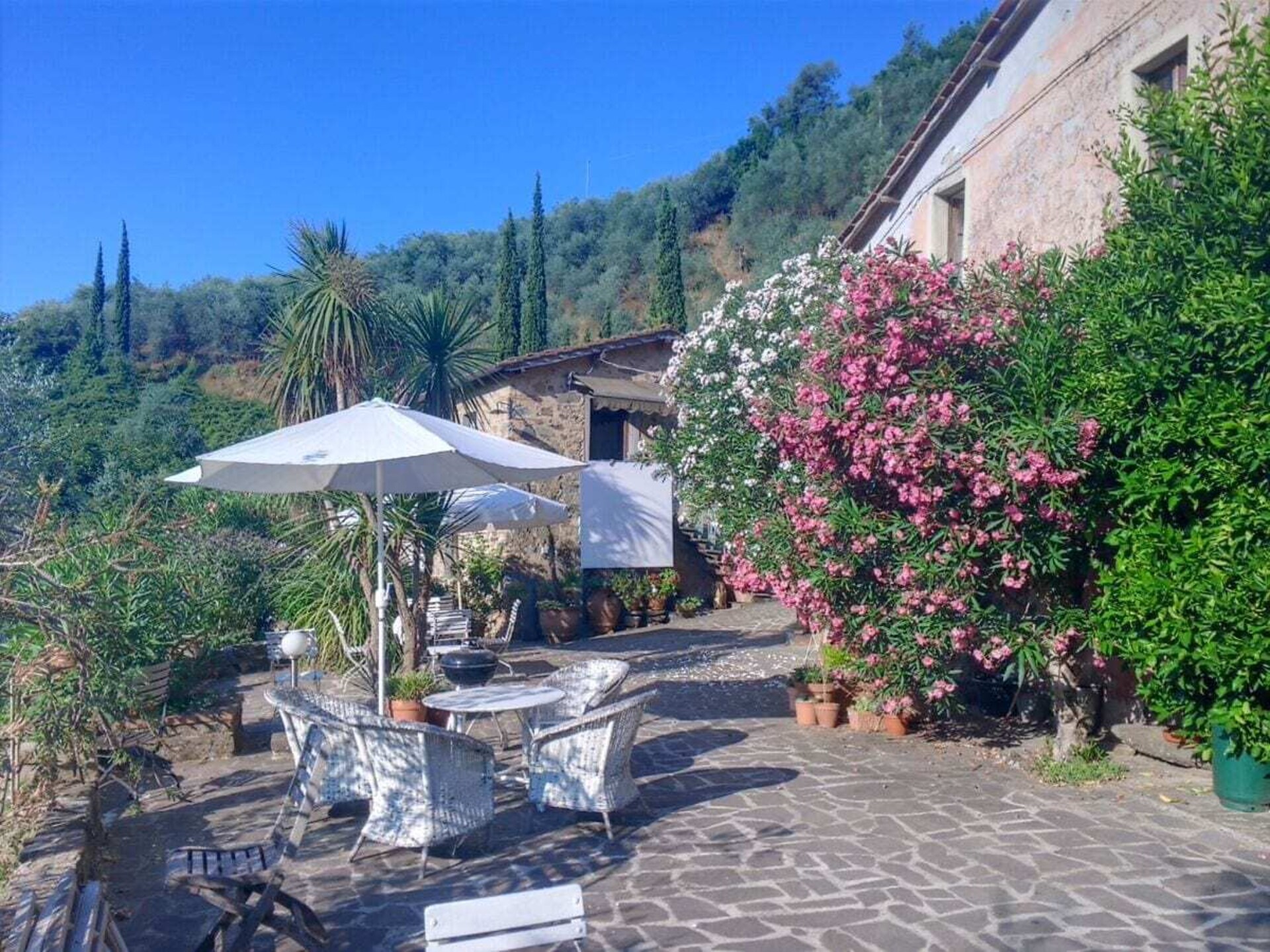 Verscholen vakantiehuis in Toscaanse olijfgaard bij Pescia - foto 5