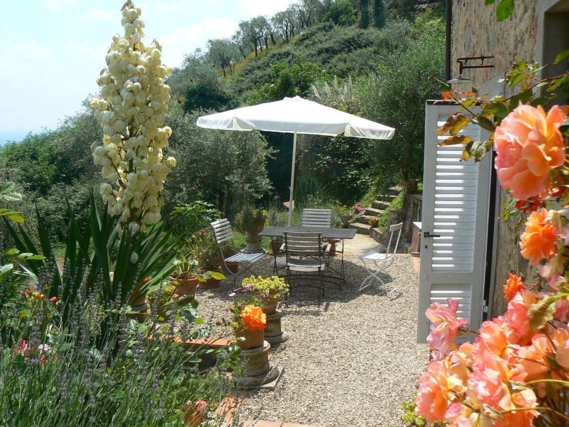 Verscholen vakantiehuis in Toscaanse olijfgaard bij Pescia - foto 6