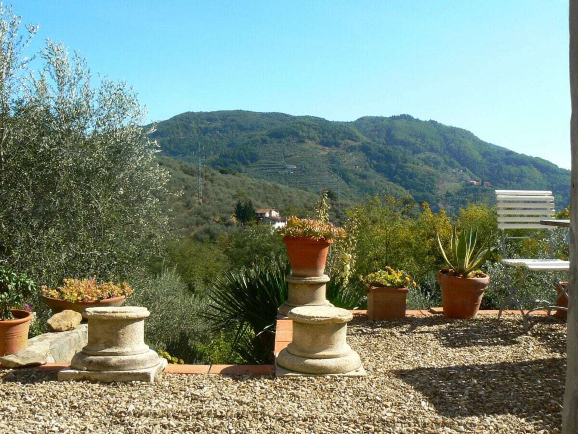 Verscholen vakantiehuis in Toscaanse olijfgaard bij Pescia - foto 9