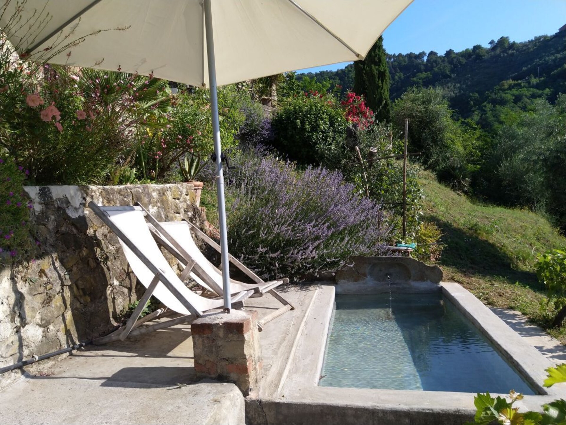 Verscholen vakantiehuis in Toscaanse olijfgaard bij Pescia - foto 10