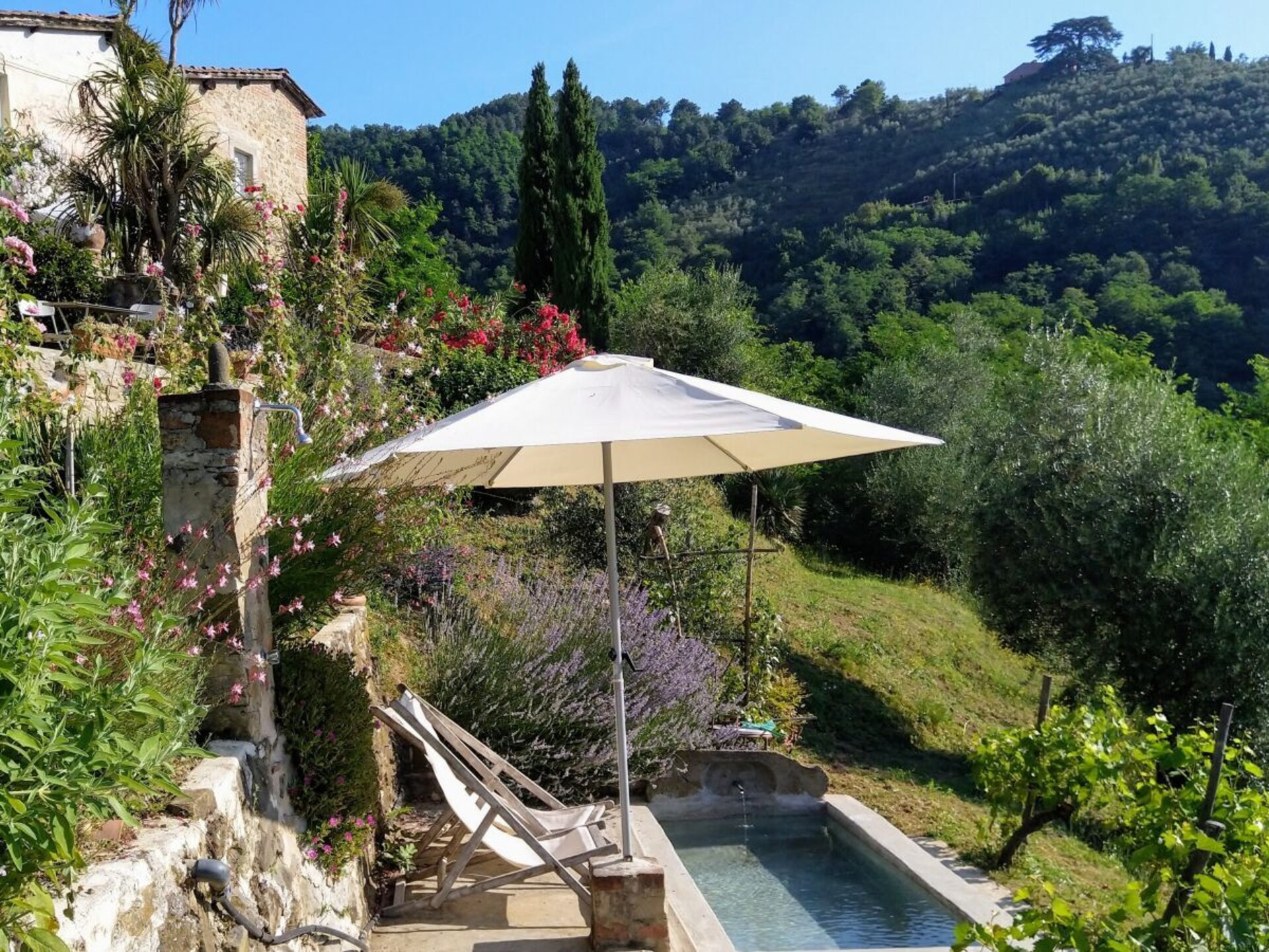 Verscholen vakantiehuis in Toscaanse olijfgaard bij Pescia - foto 11