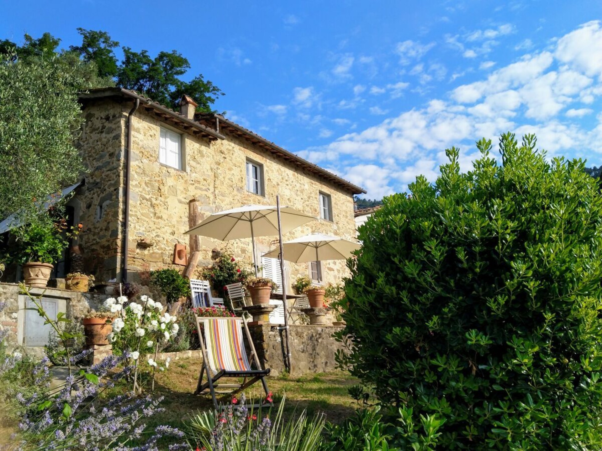 Verscholen vakantiehuis in Toscaanse olijfgaard bij Pescia - foto 12